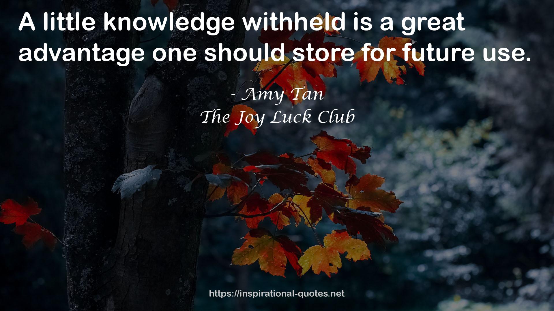 The Joy Luck Club QUOTES