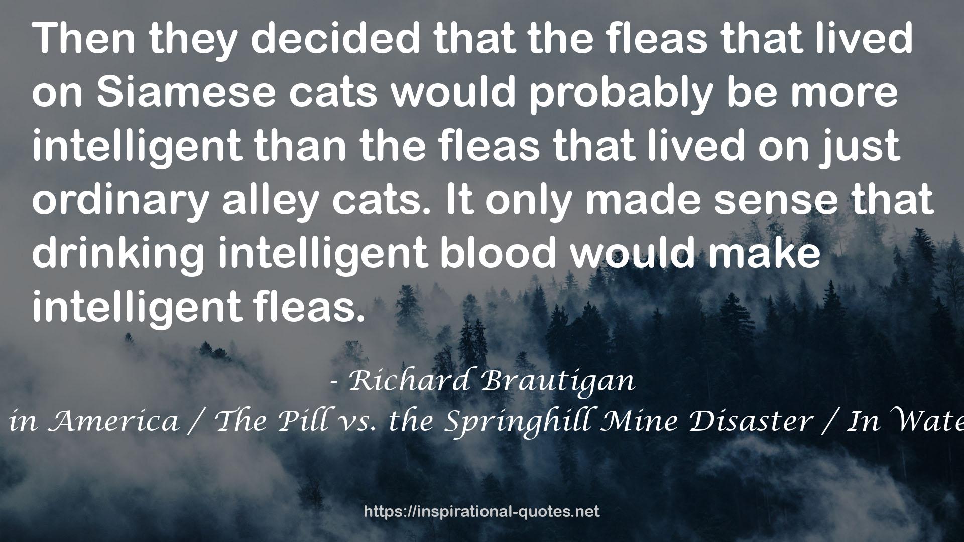 Richard Brautigan QUOTES