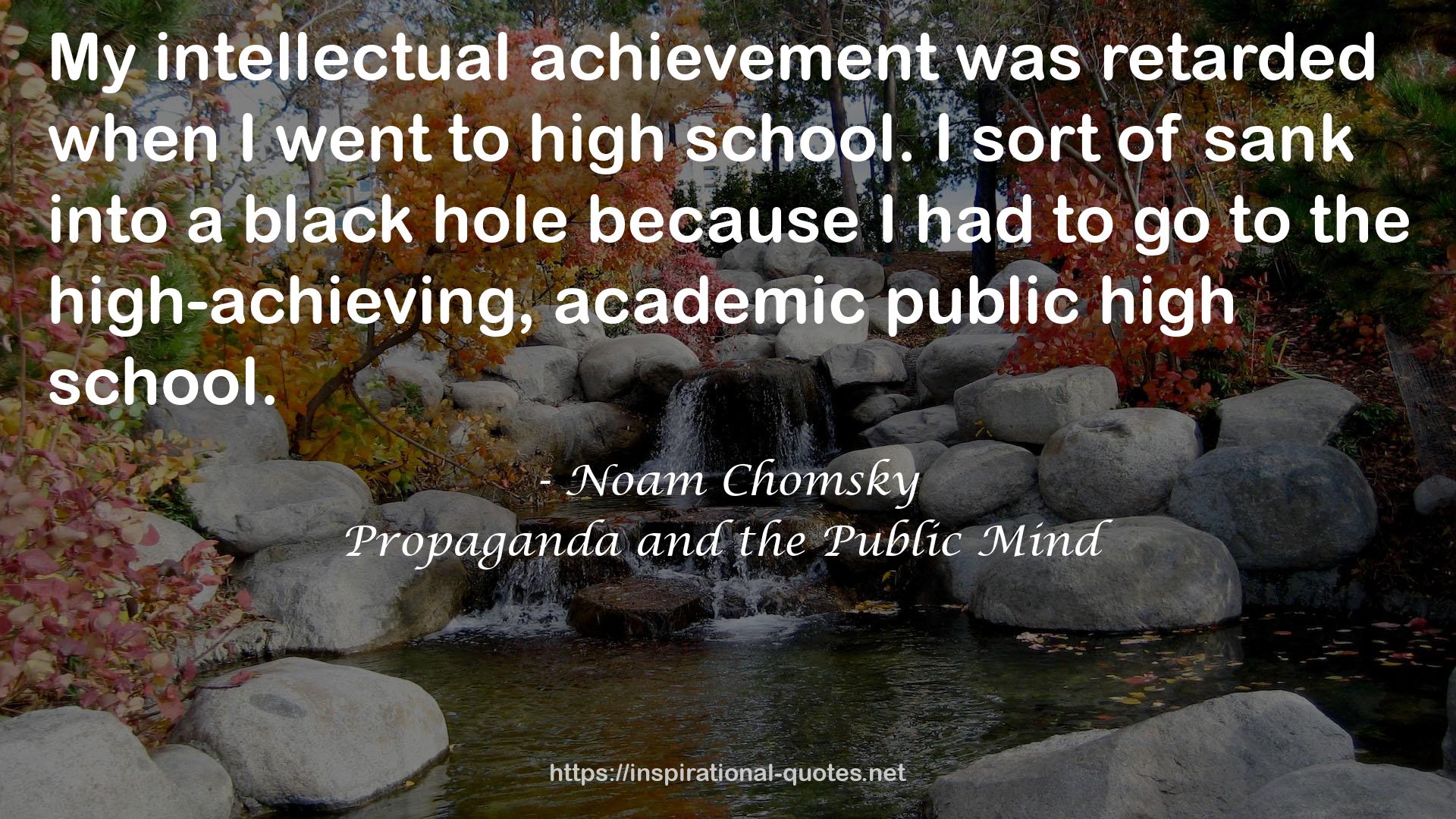 Propaganda and the Public Mind QUOTES