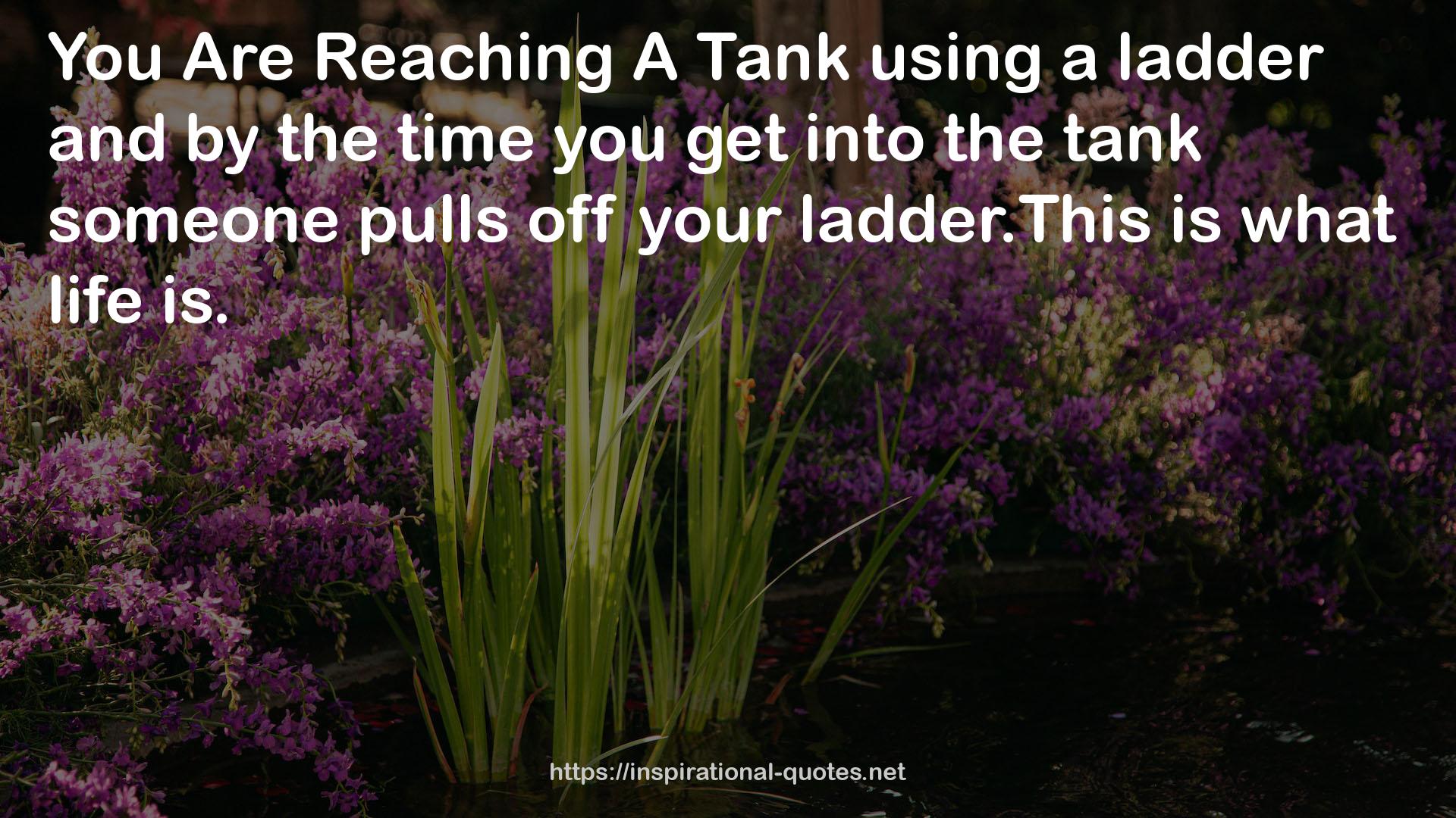 the tank  QUOTES