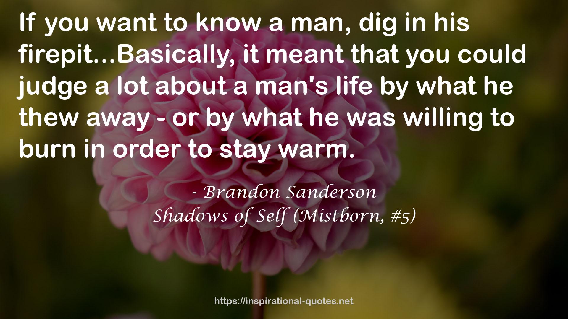 Shadows of Self (Mistborn, #5) QUOTES