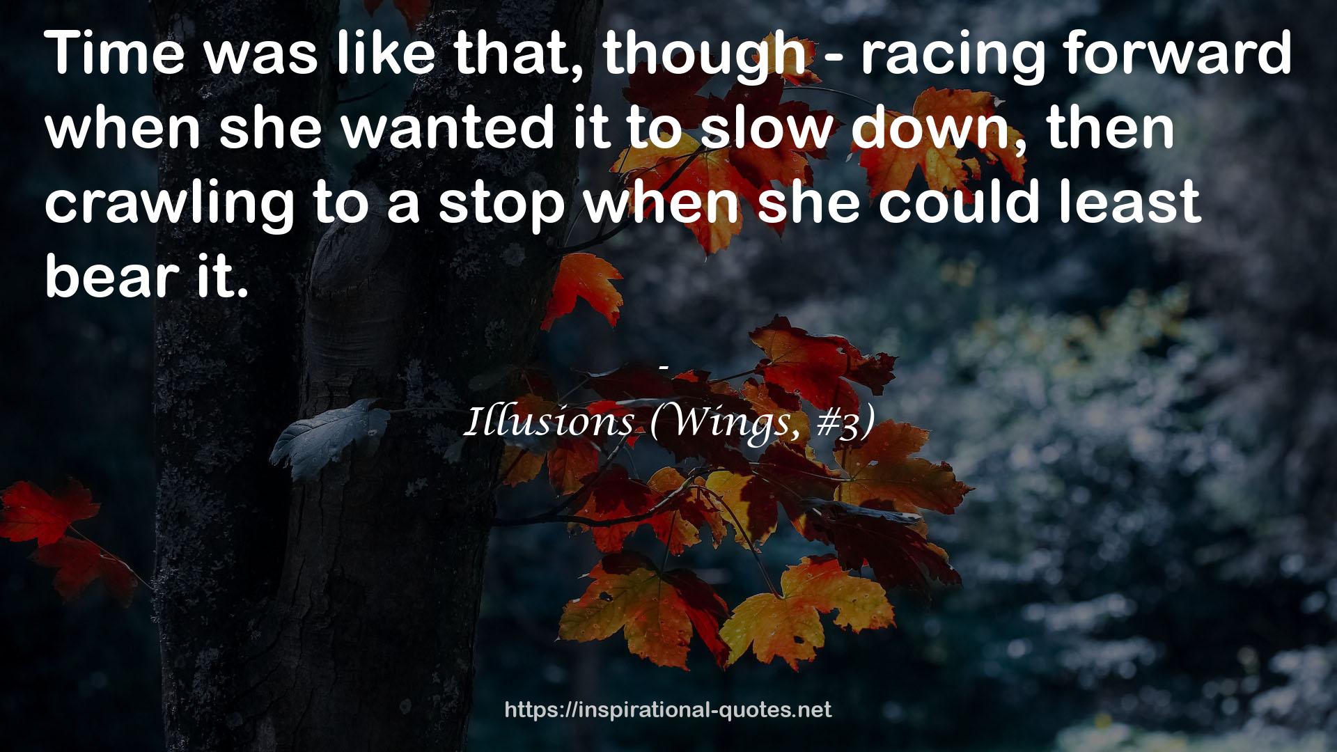 Illusions (Wings, #3) QUOTES