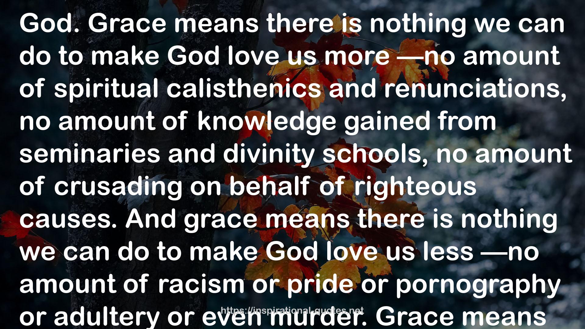 What's So Amazing About Grace/Where is God When It Hurts QUOTES