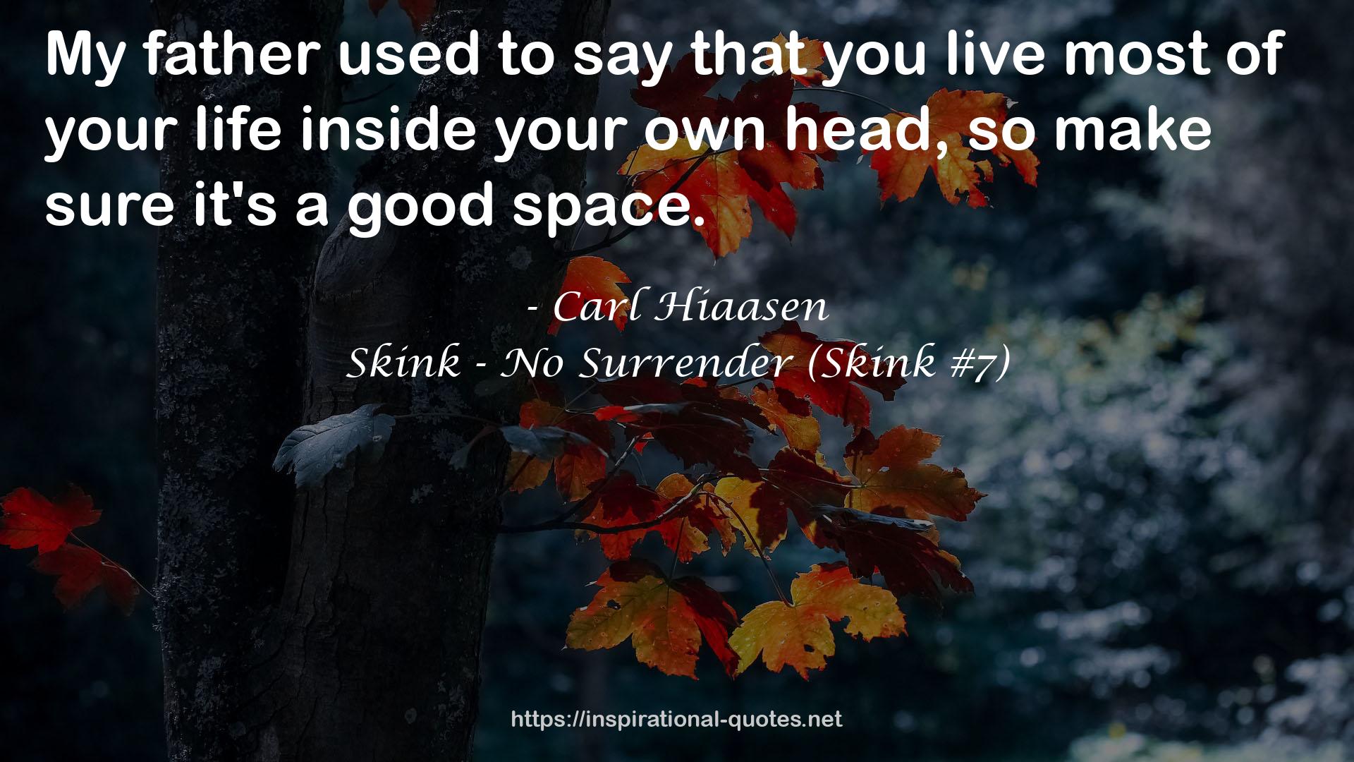 Skink - No Surrender (Skink #7) QUOTES