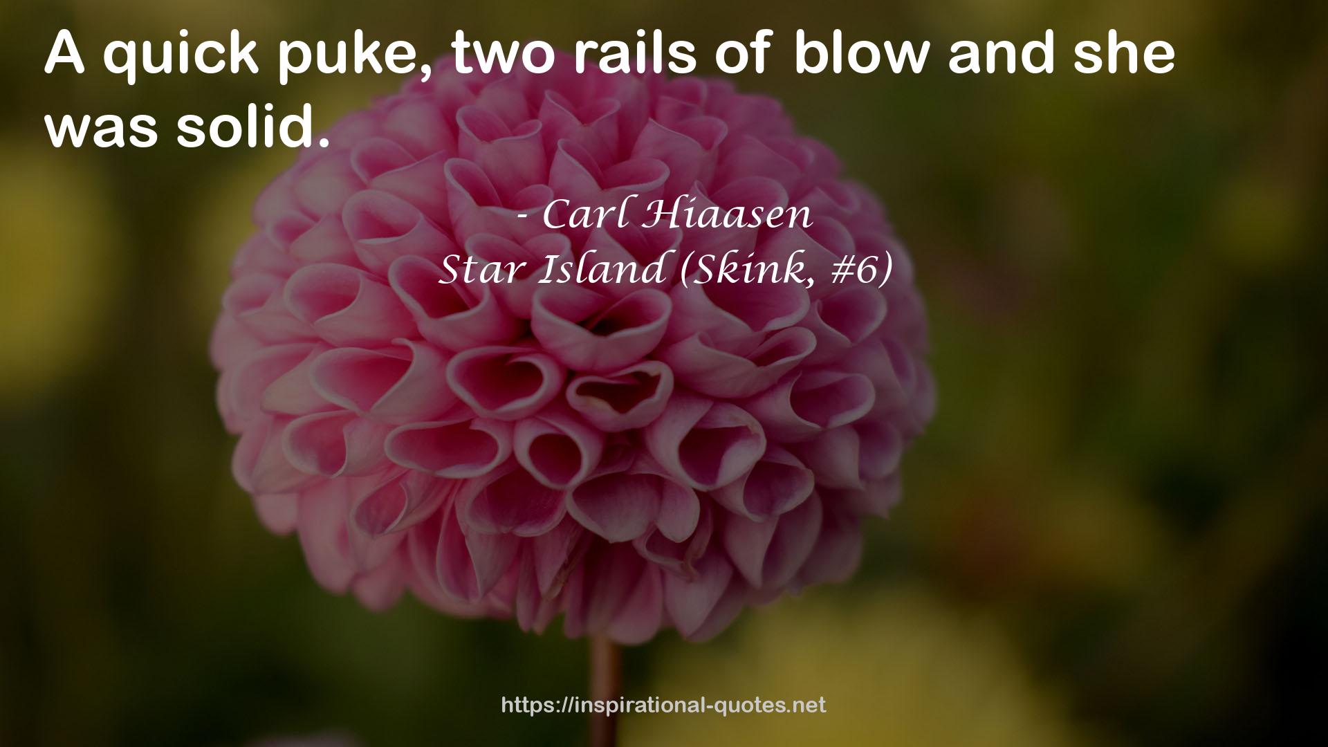 Star Island (Skink, #6) QUOTES