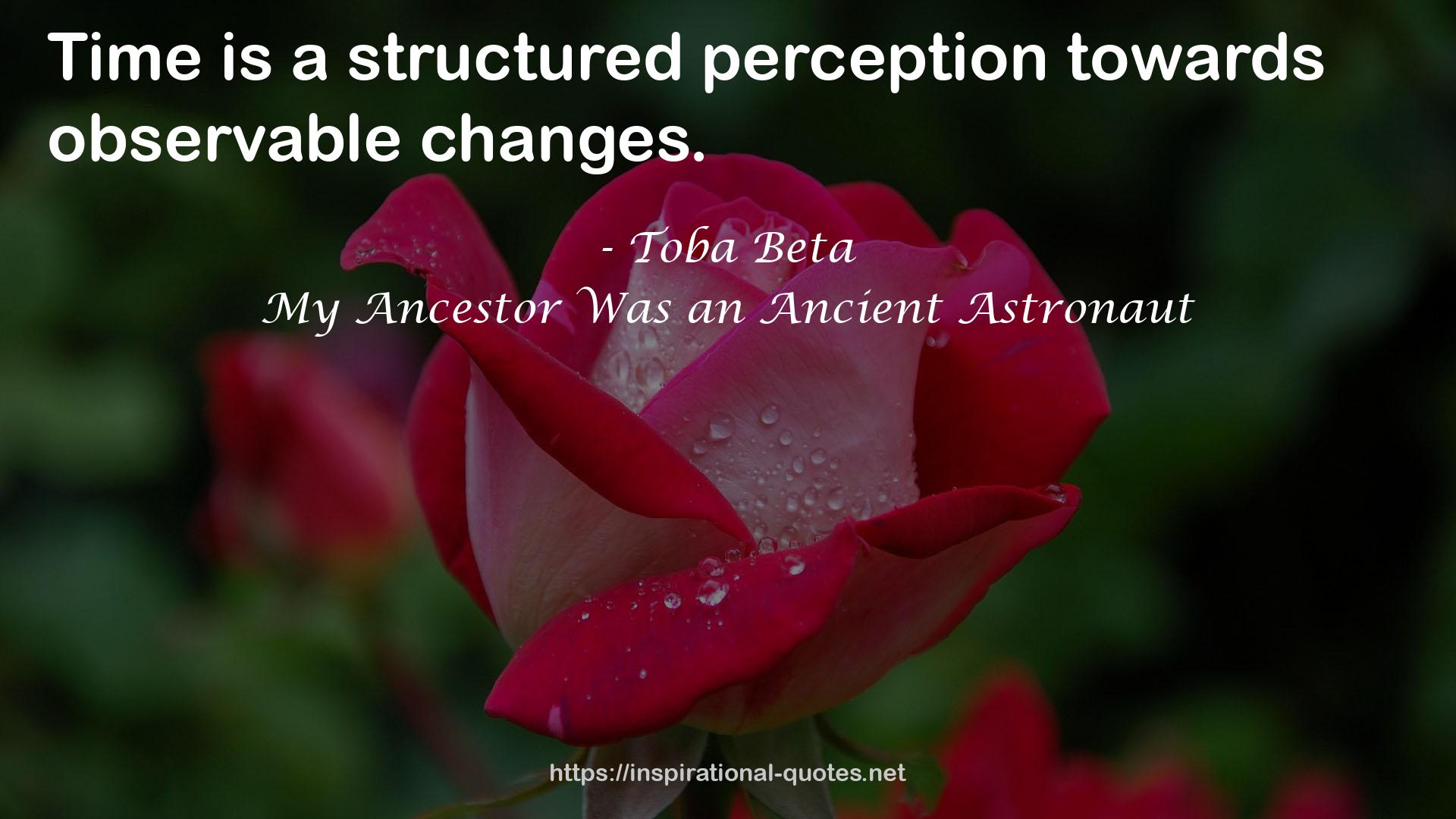 a structured perception  QUOTES