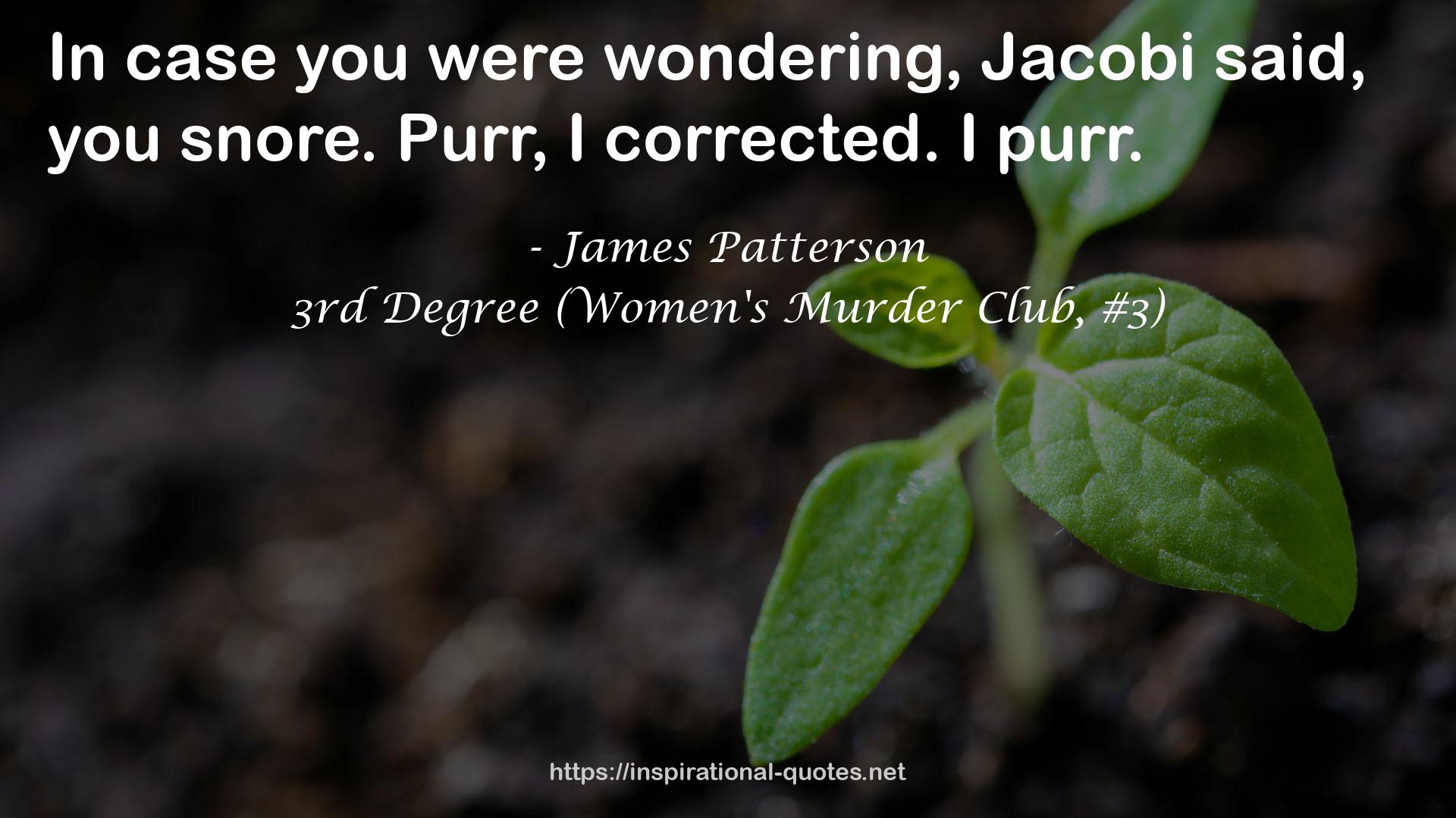 3rd Degree (Women's Murder Club, #3) QUOTES