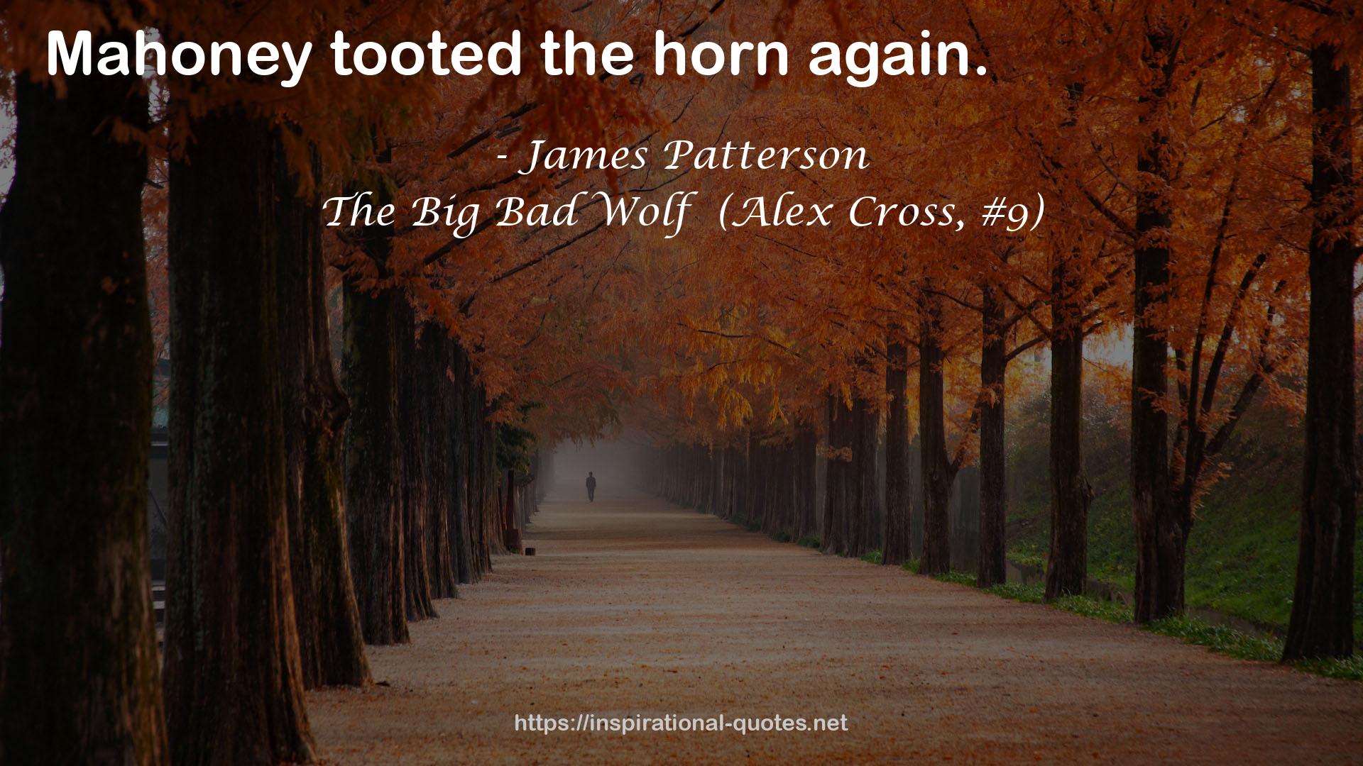 The Big Bad Wolf  (Alex Cross, #9) QUOTES