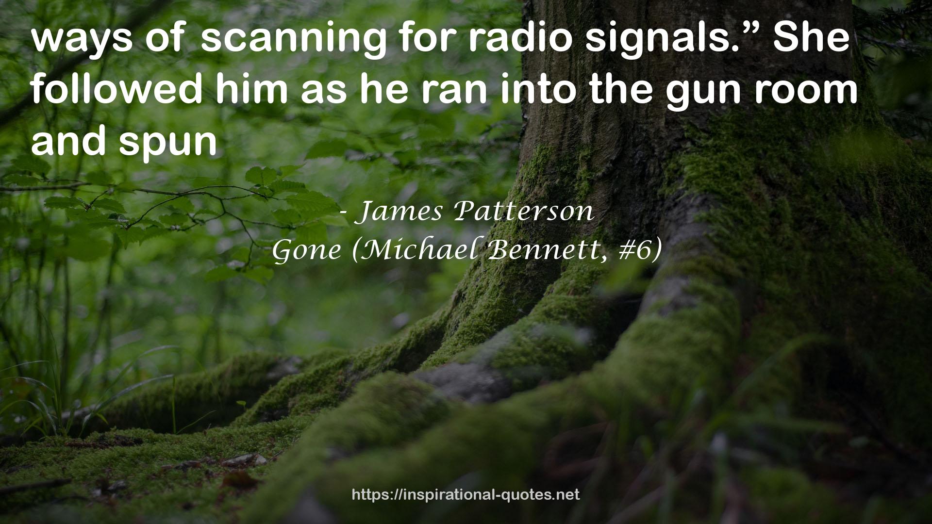 Gone (Michael Bennett, #6) QUOTES