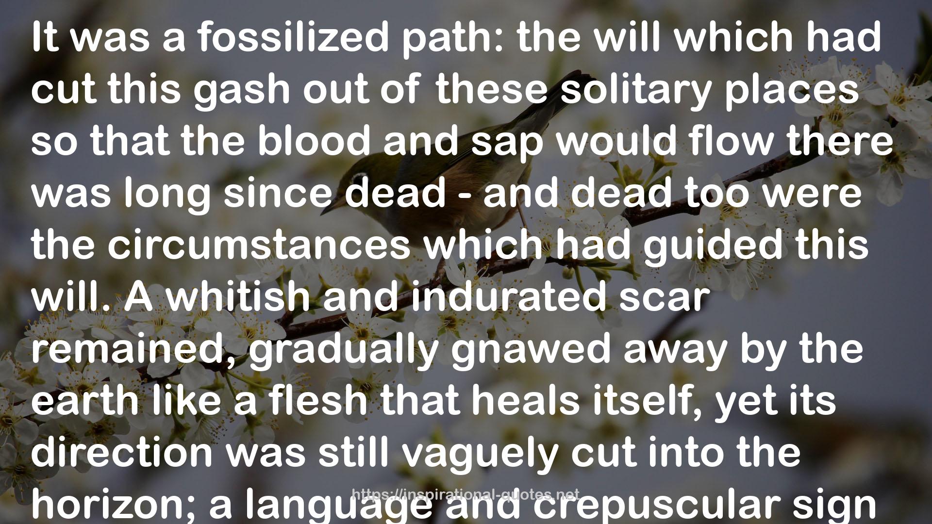 fossilized  QUOTES
