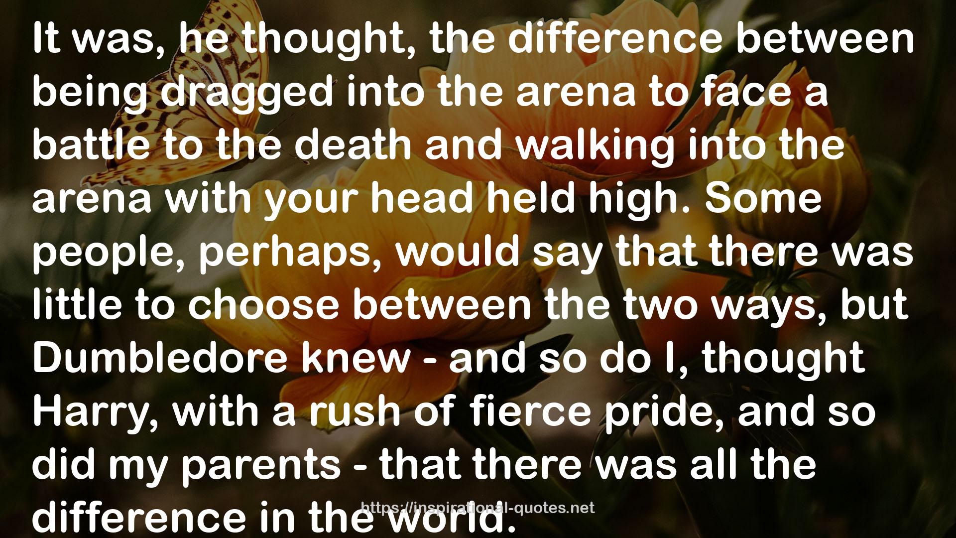 arena  QUOTES