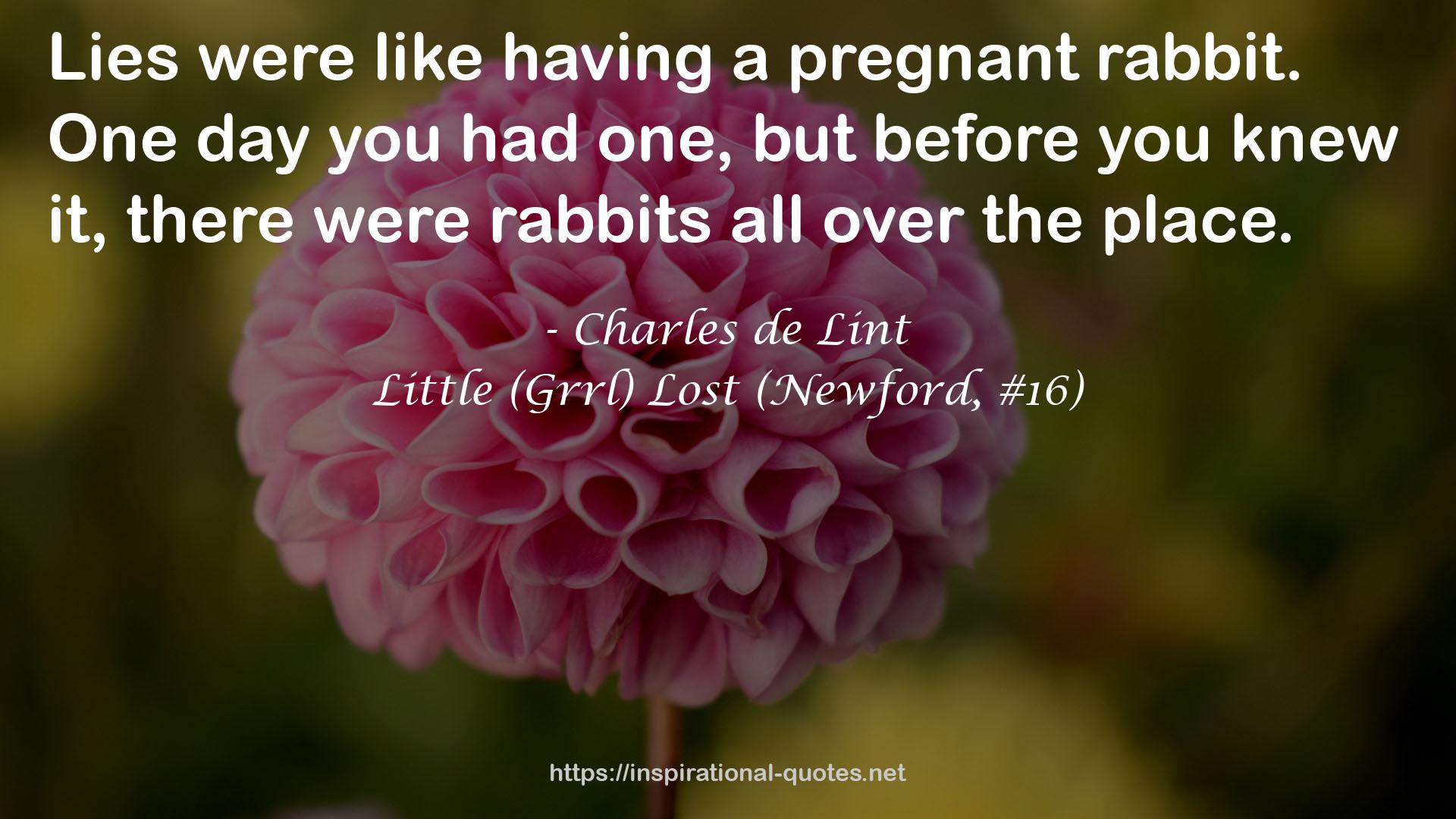 Little (Grrl) Lost (Newford, #16) QUOTES