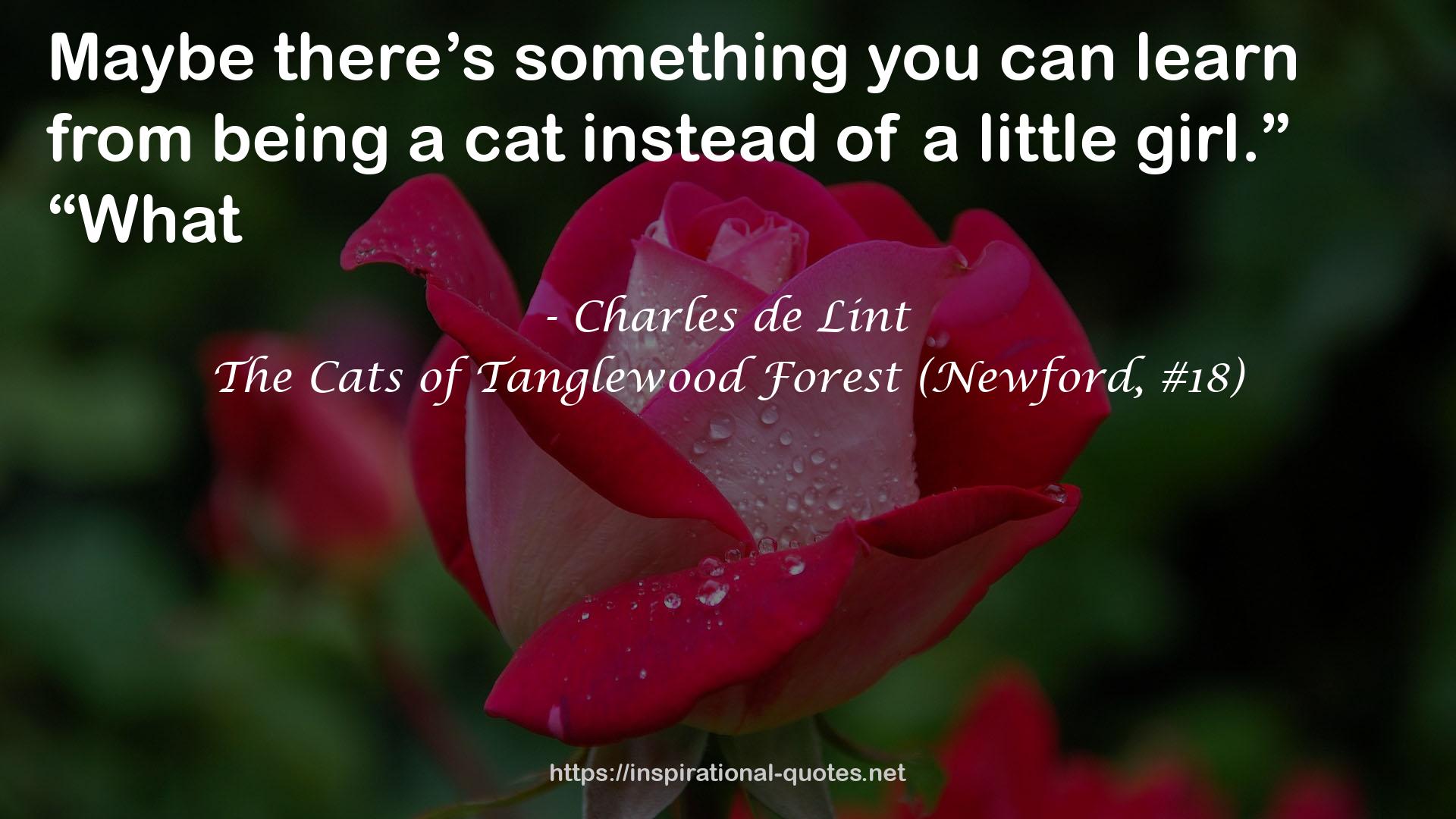 The Cats of Tanglewood Forest (Newford, #18) QUOTES