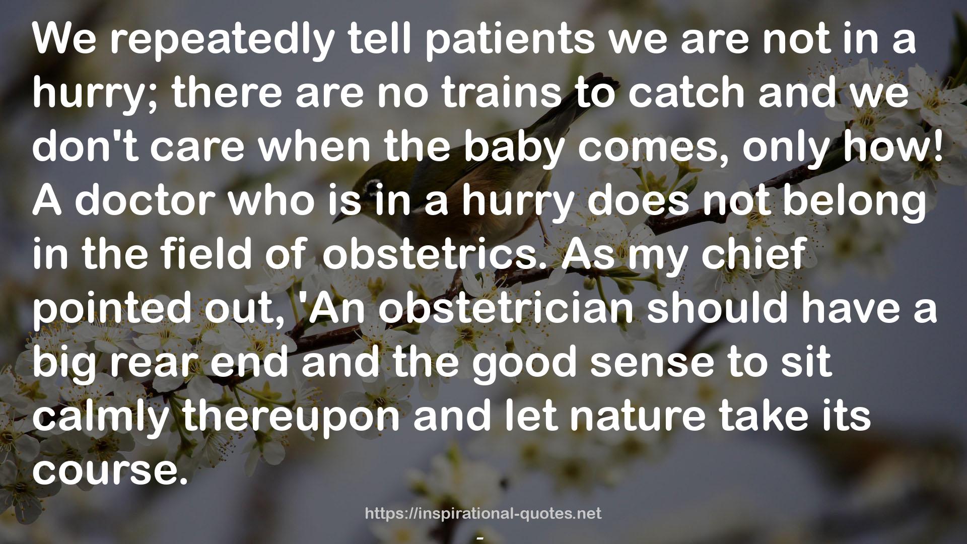 obstetrician  QUOTES