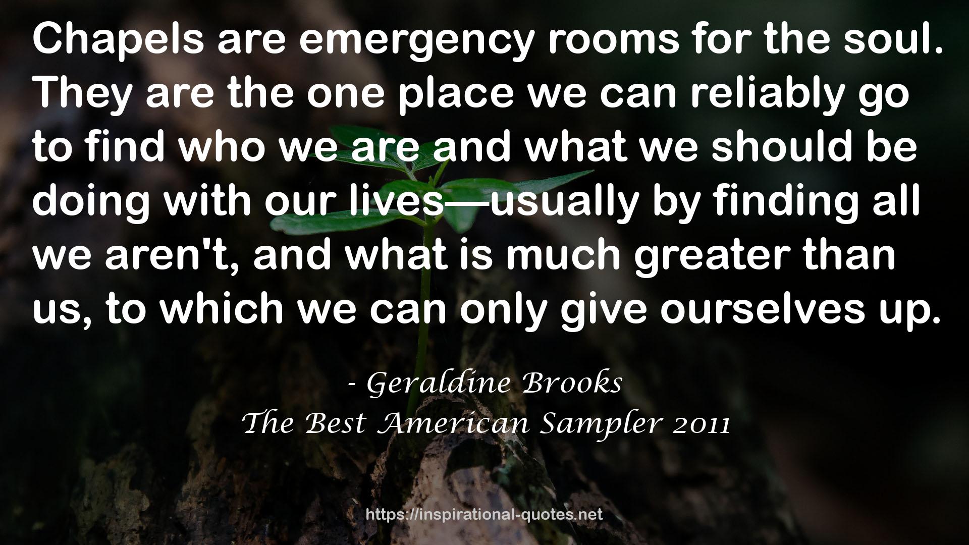 The Best American Sampler 2011 QUOTES