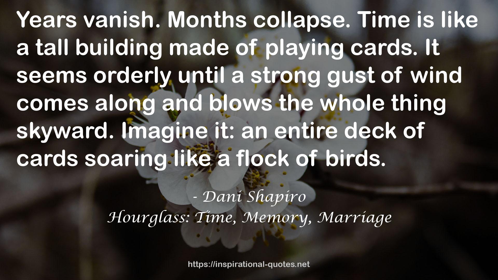 Hourglass: Time, Memory, Marriage QUOTES