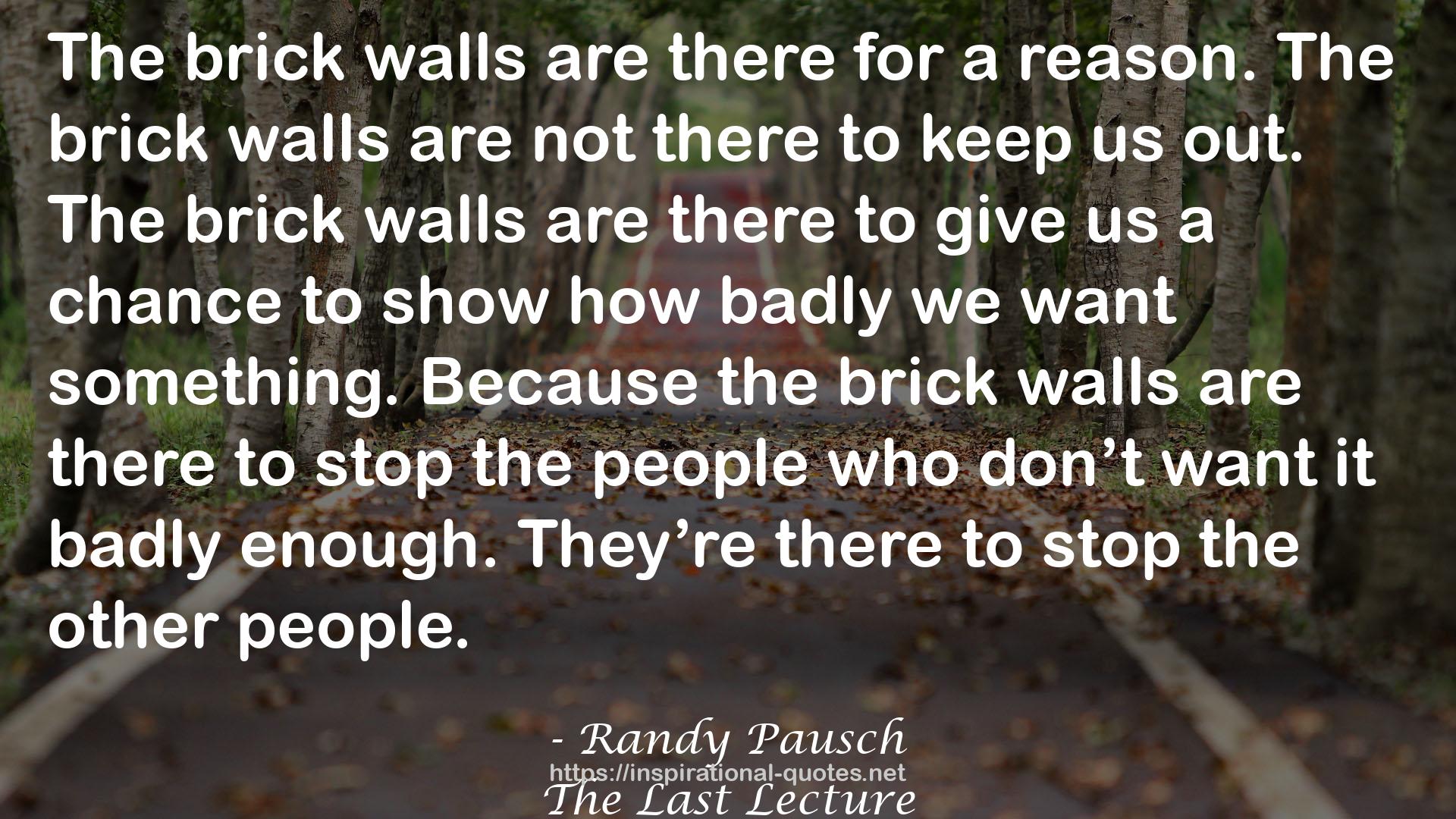 The brick walls  QUOTES