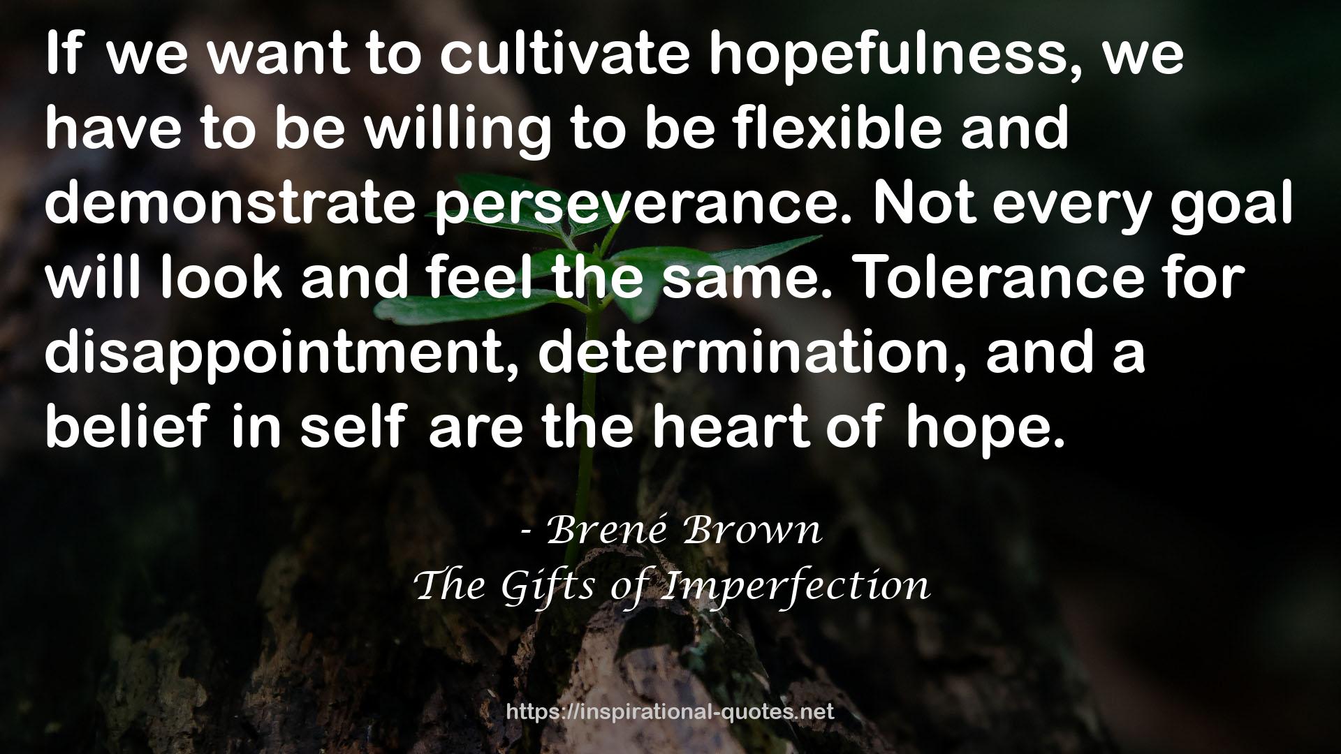 The Gifts of Imperfection QUOTES