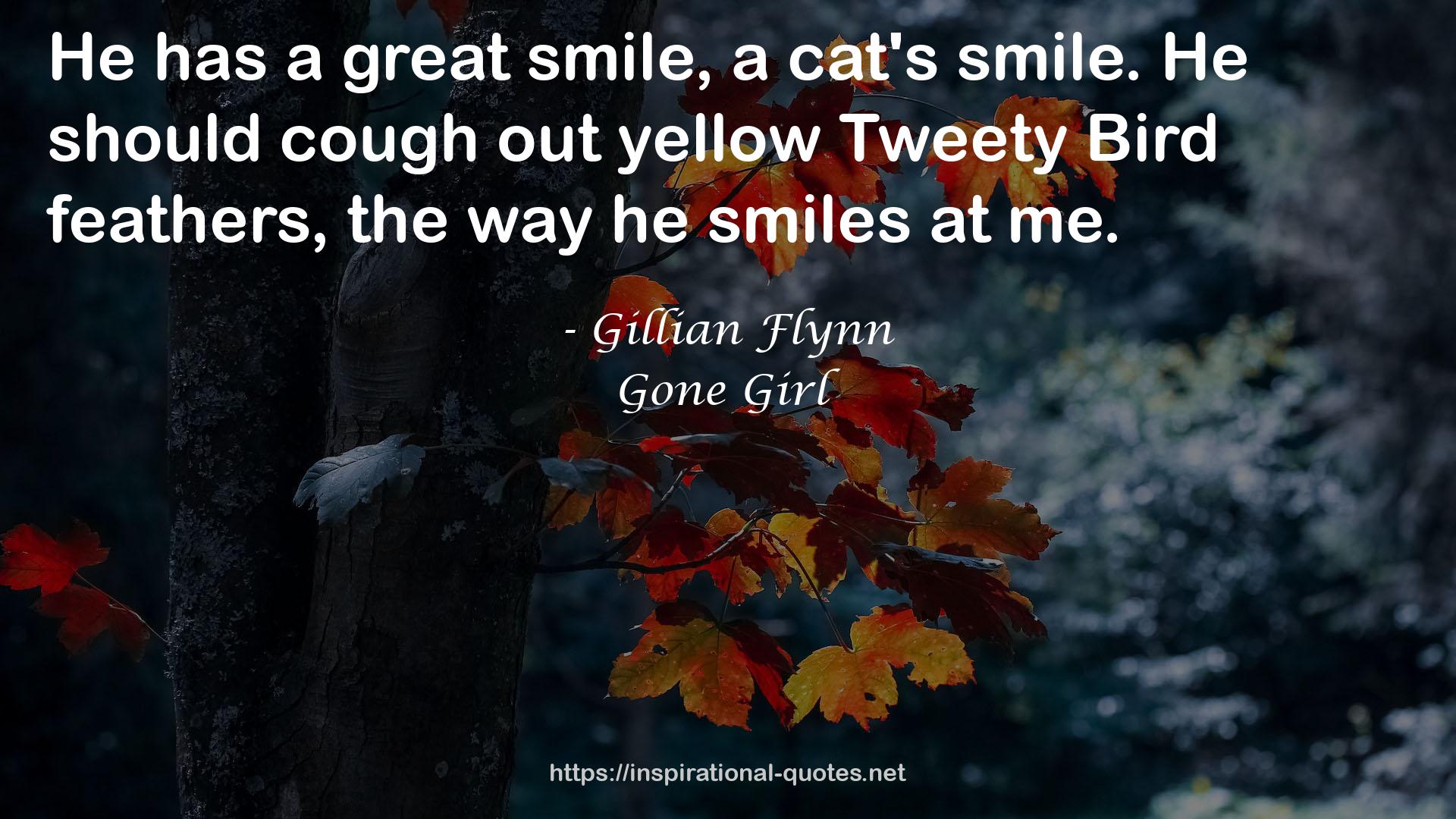 Gillian Flynn QUOTES