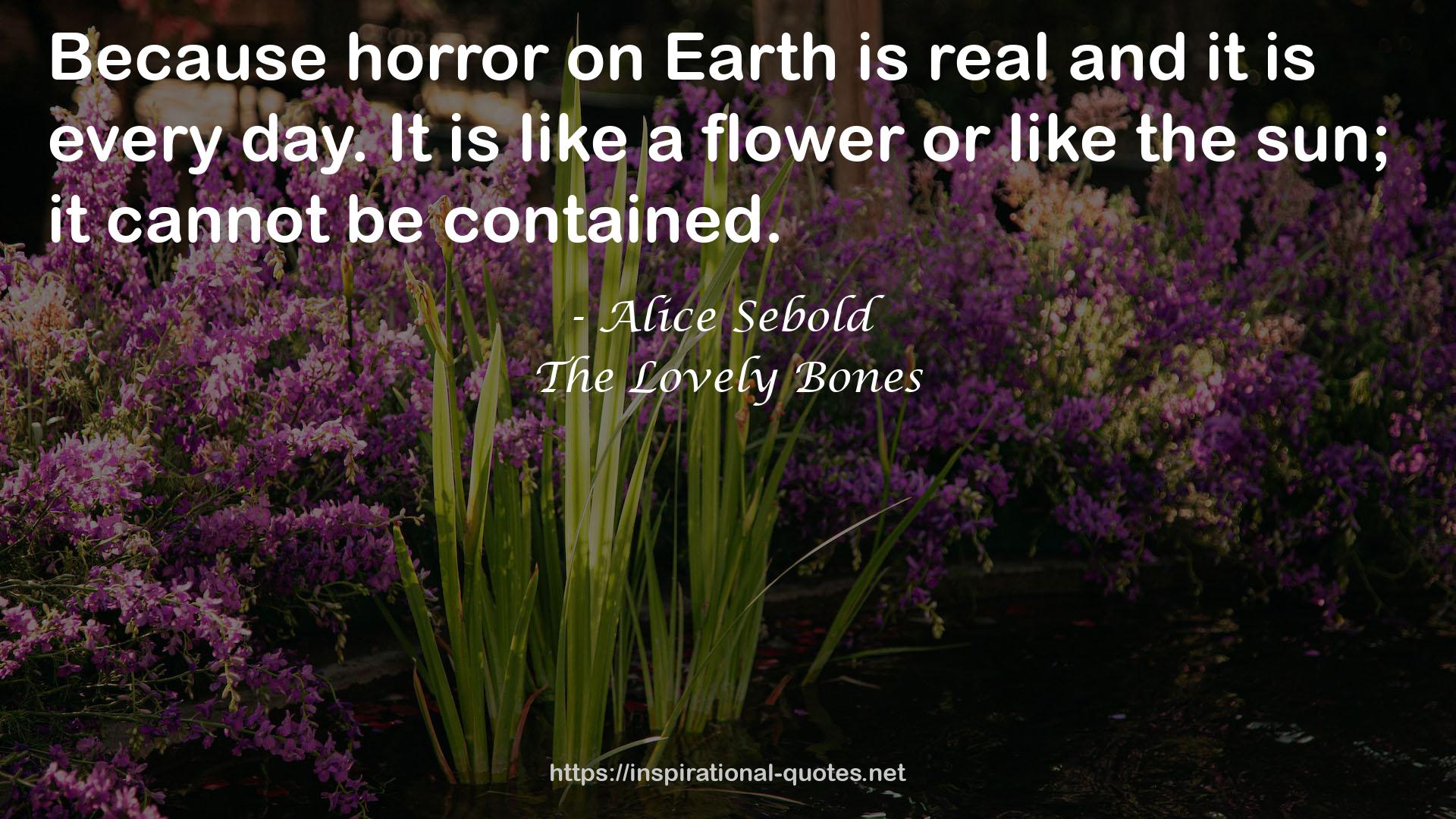 Alice Sebold QUOTES