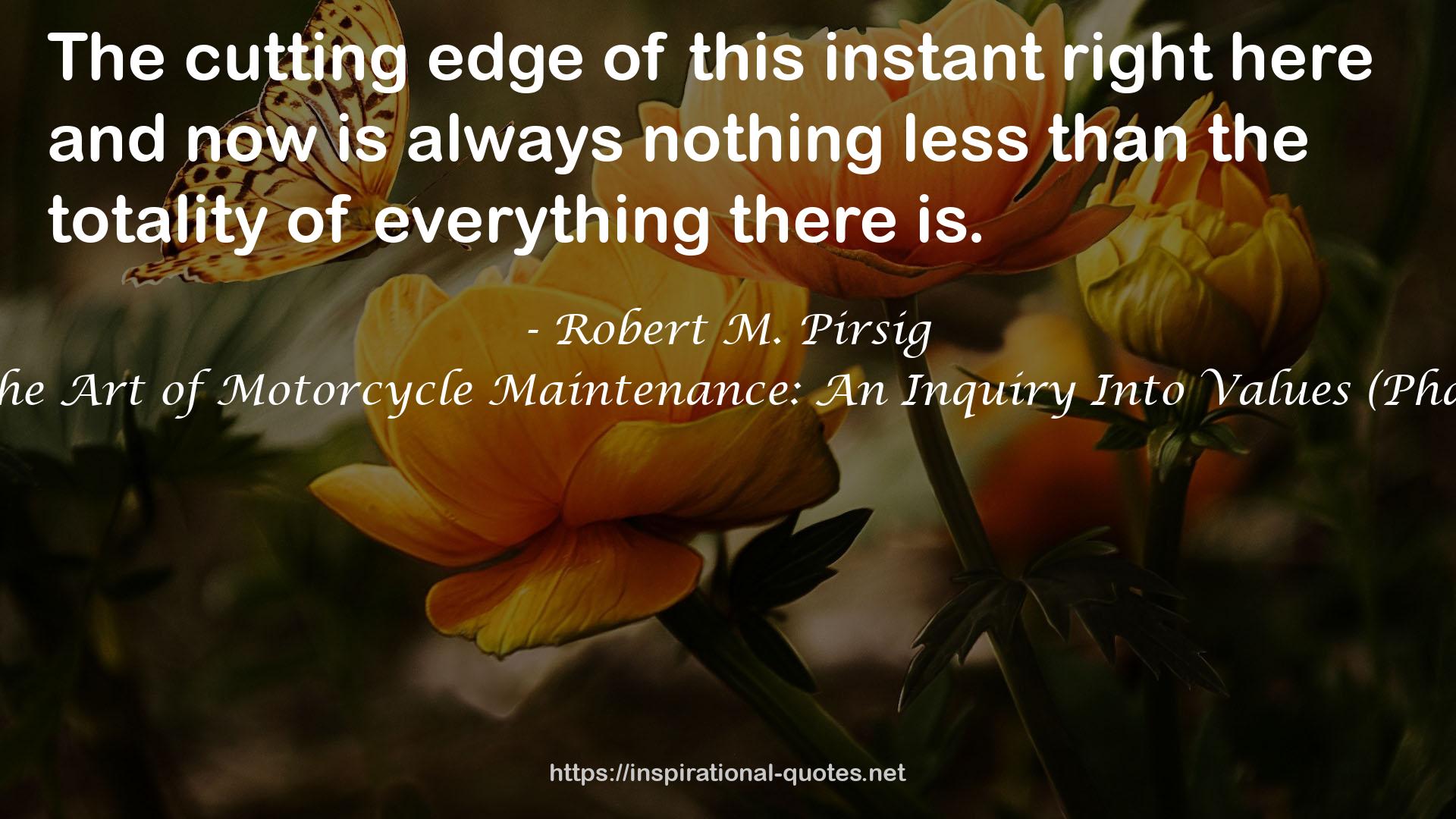 Zen and the Art of Motorcycle Maintenance: An Inquiry Into Values (Phaedrus, #1) QUOTES