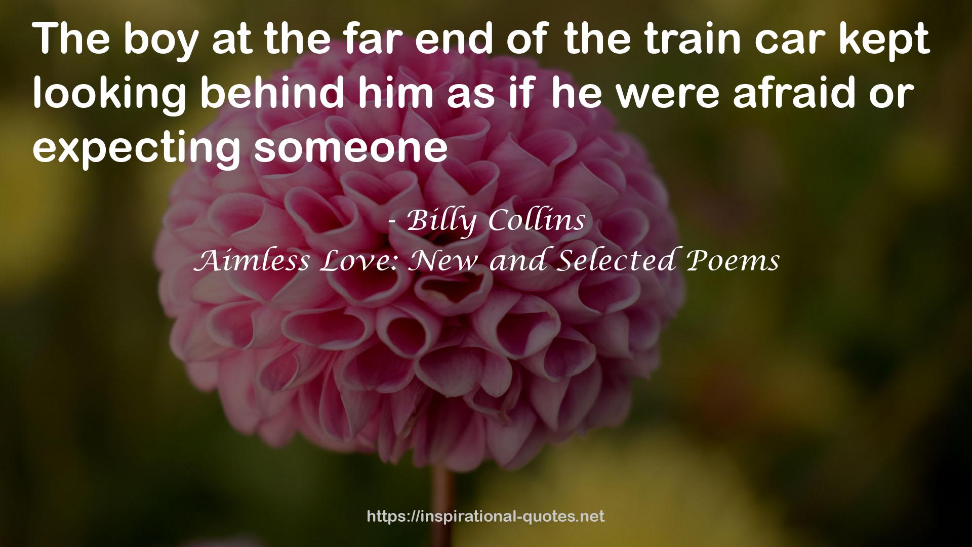 Aimless Love: New and Selected Poems QUOTES