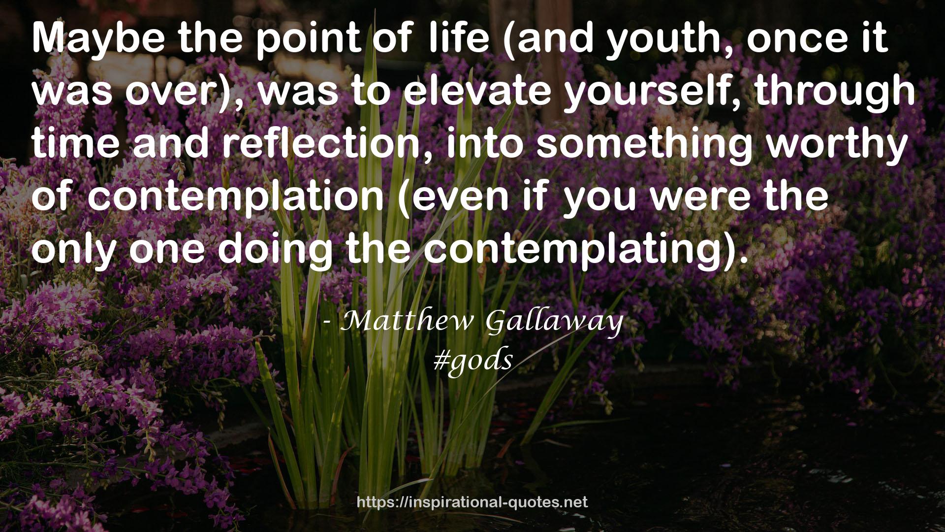 Matthew Gallaway QUOTES