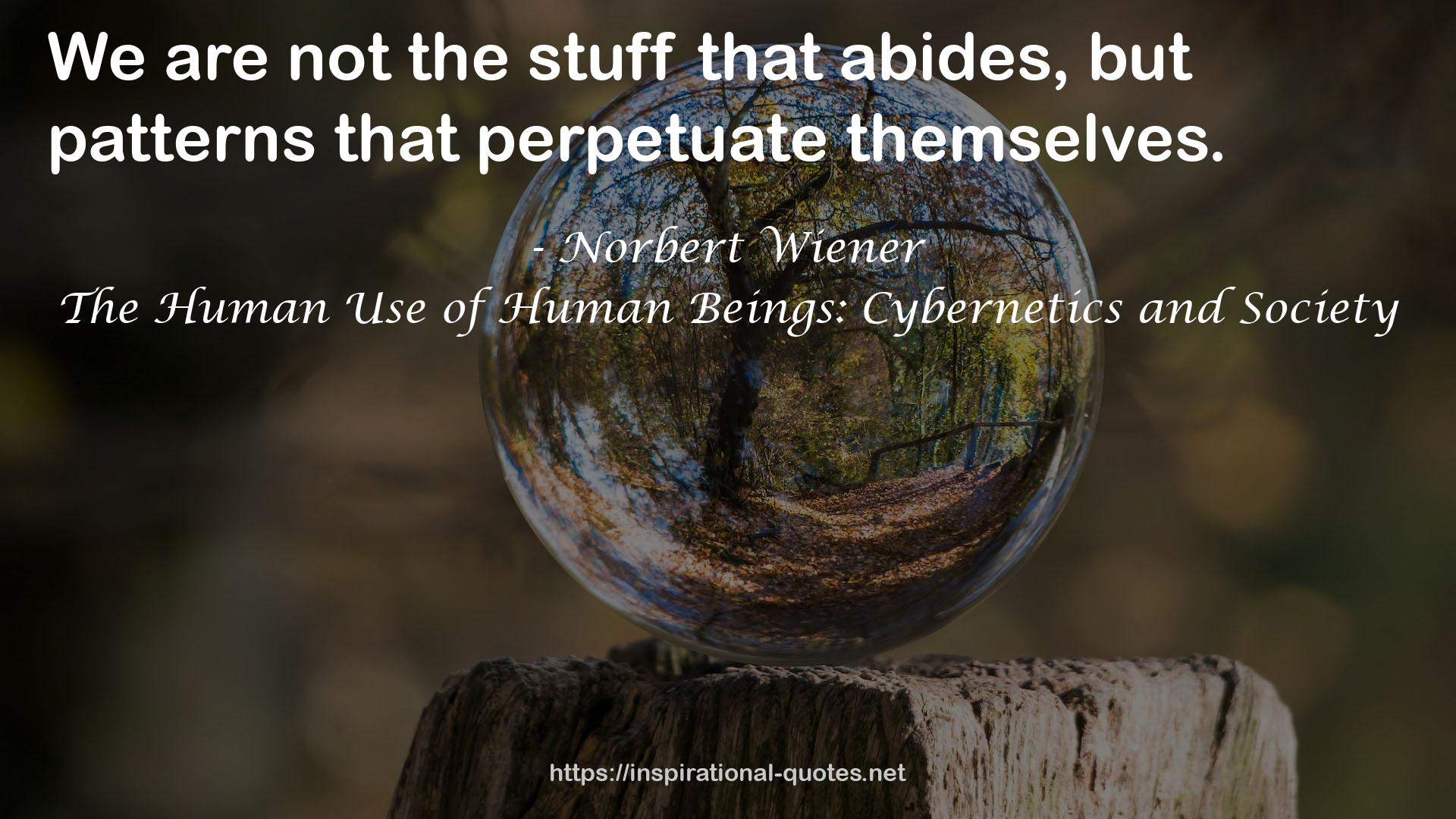 The Human Use of Human Beings: Cybernetics and Society QUOTES
