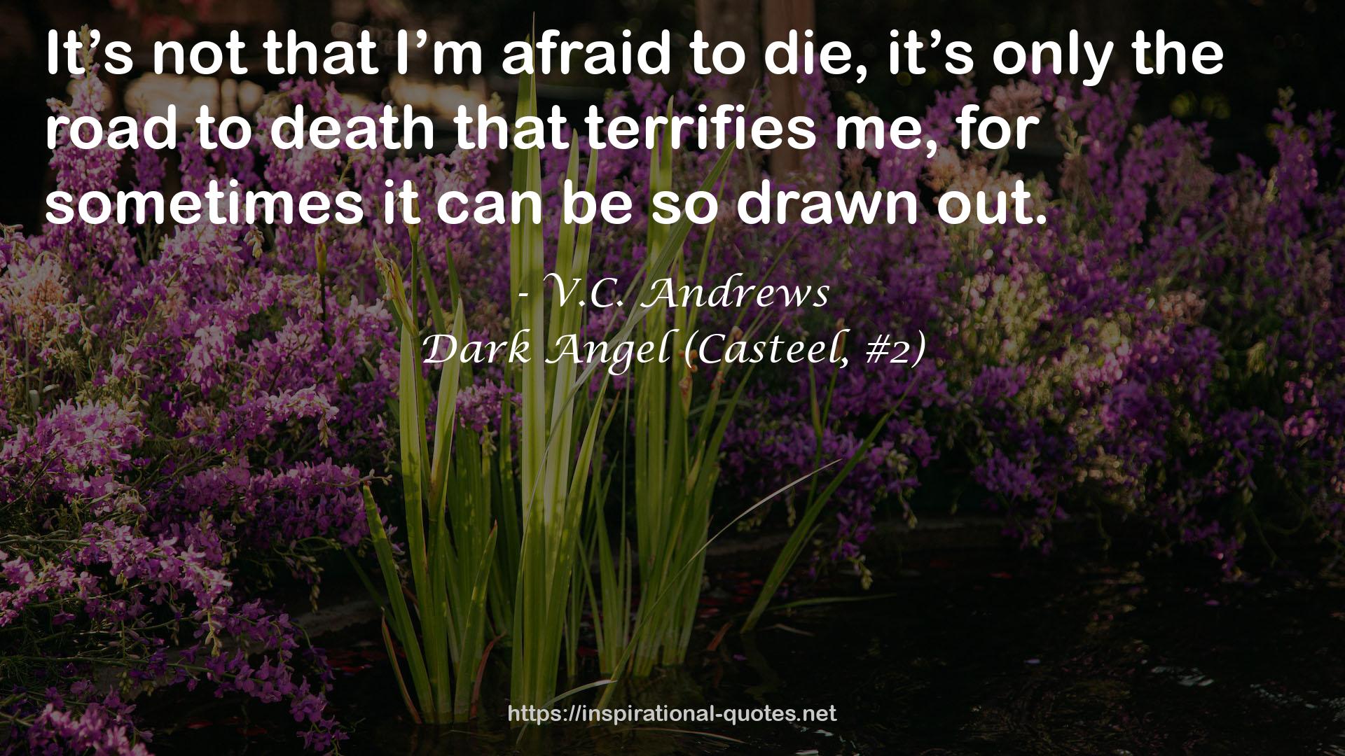 Dark Angel (Casteel, #2) QUOTES