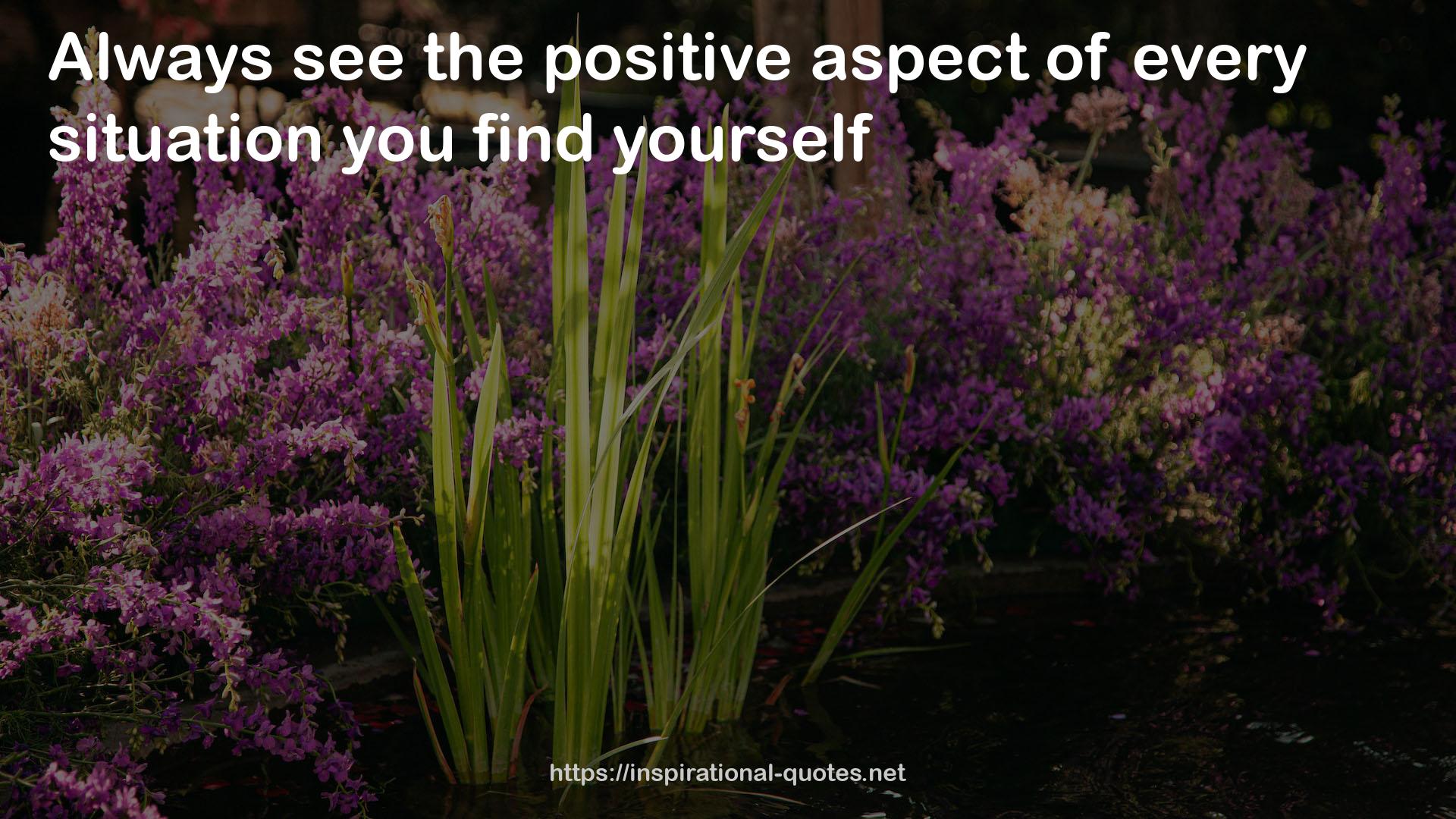 the positive aspect  QUOTES