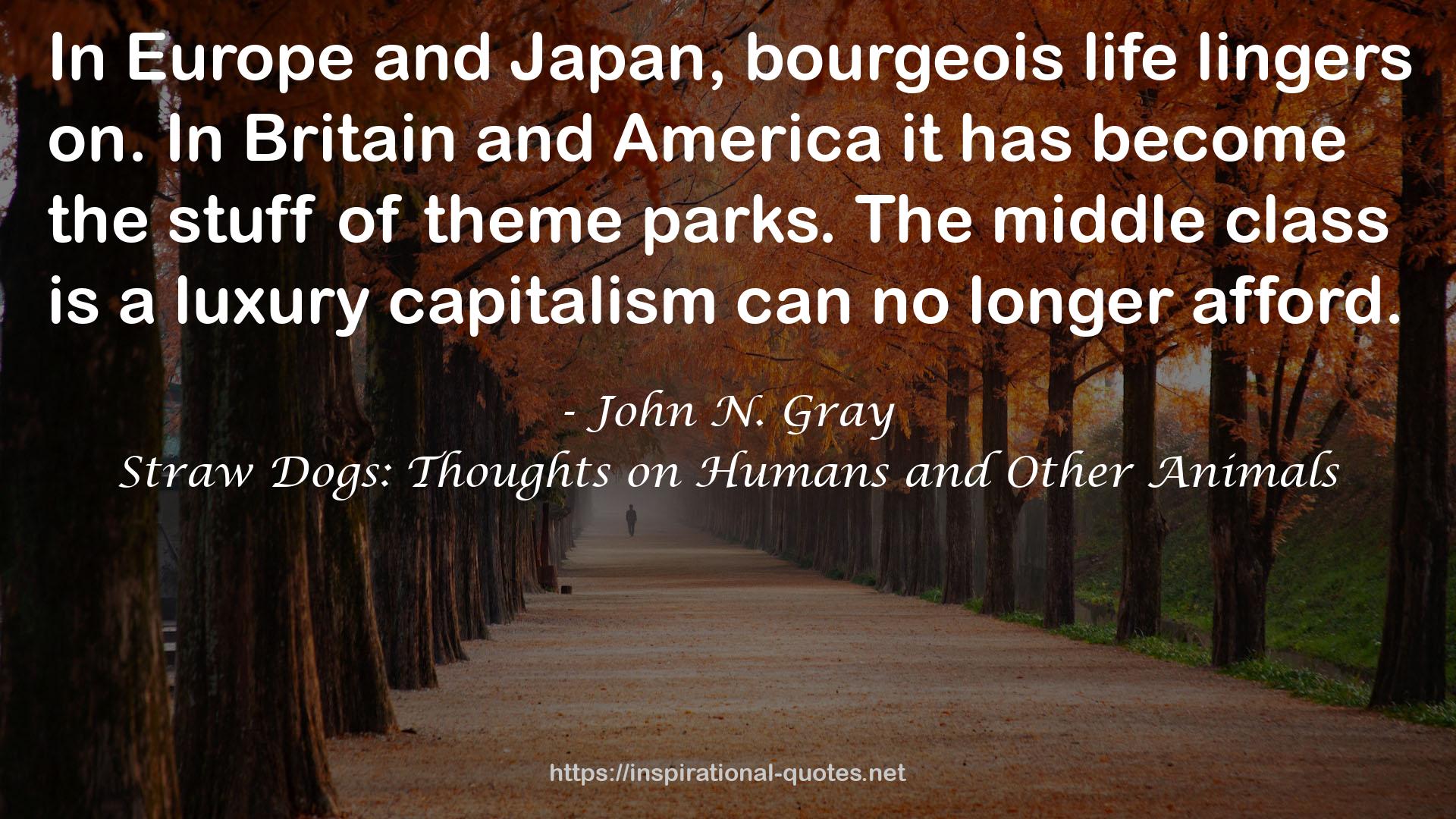 John N. Gray QUOTES