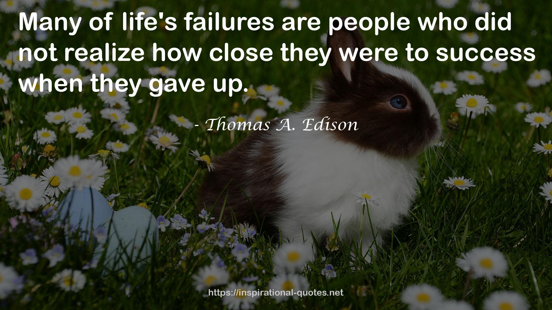 life's failures  QUOTES