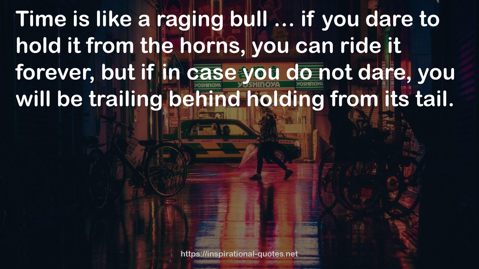 a raging bull  QUOTES