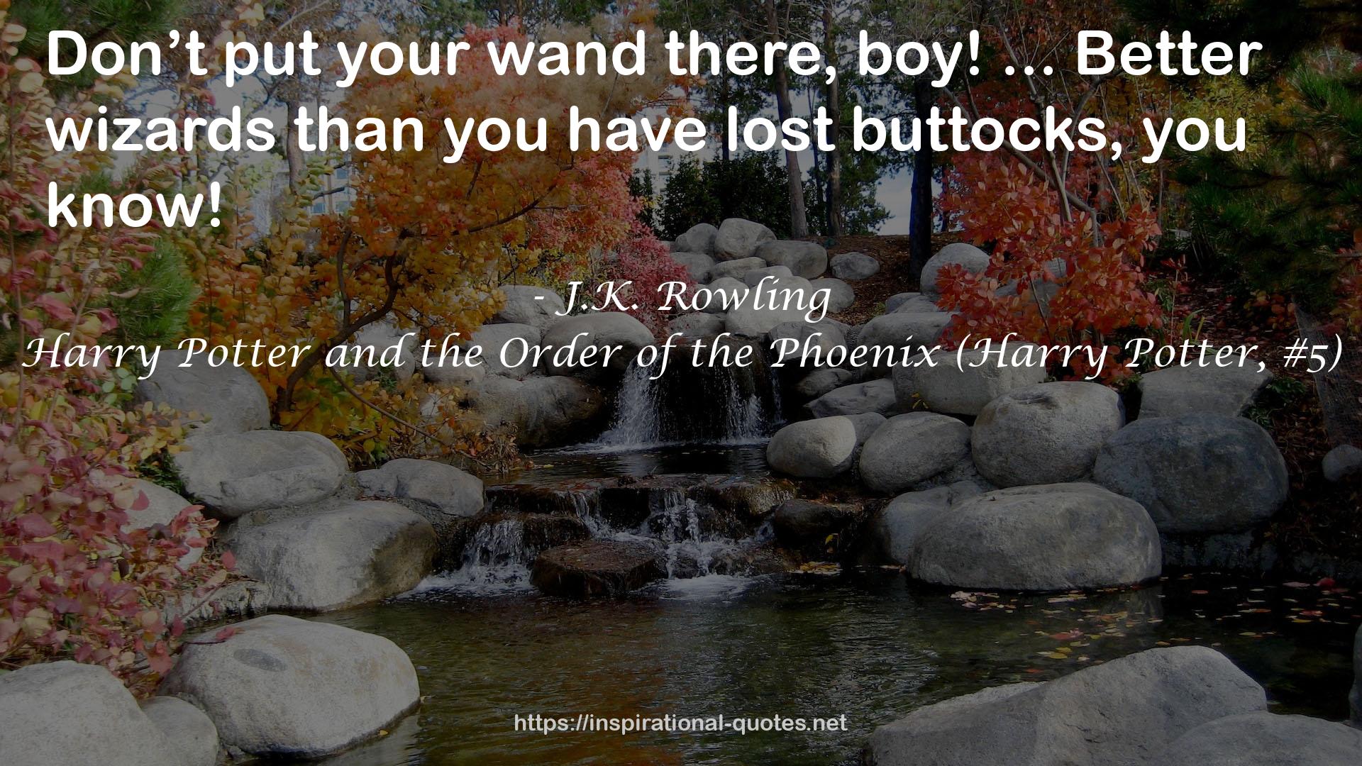 your wand  QUOTES