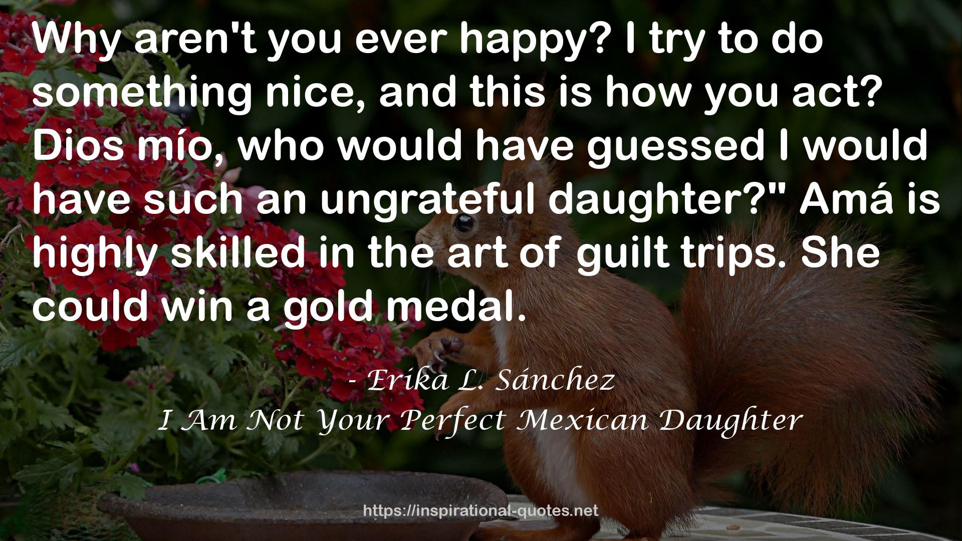 I Am Not Your Perfect Mexican Daughter QUOTES