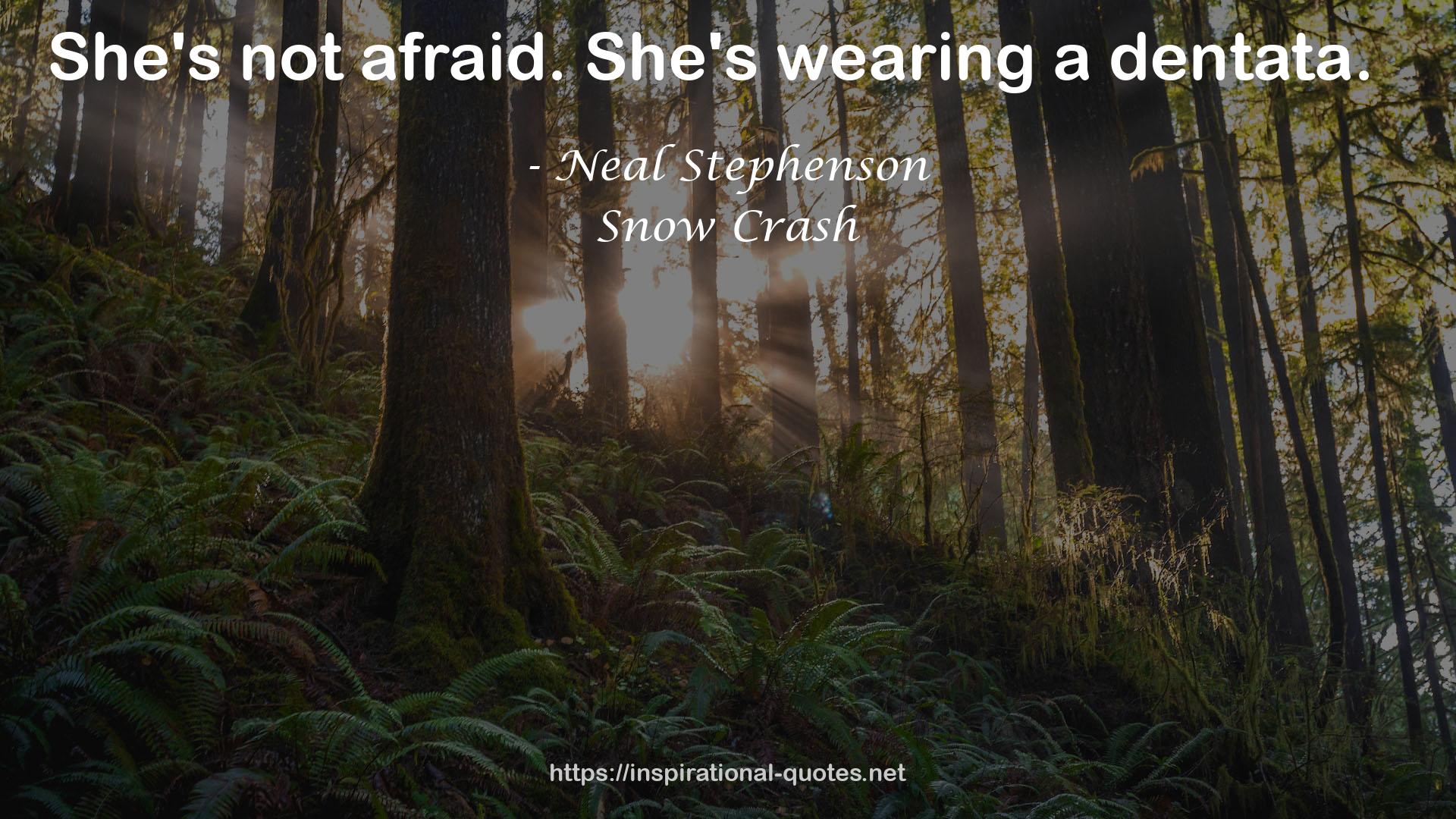 Neal Stephenson QUOTES