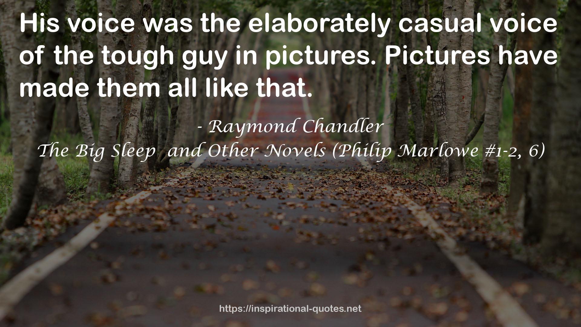 The Big Sleep  and Other Novels (Philip Marlowe #1-2, 6) QUOTES