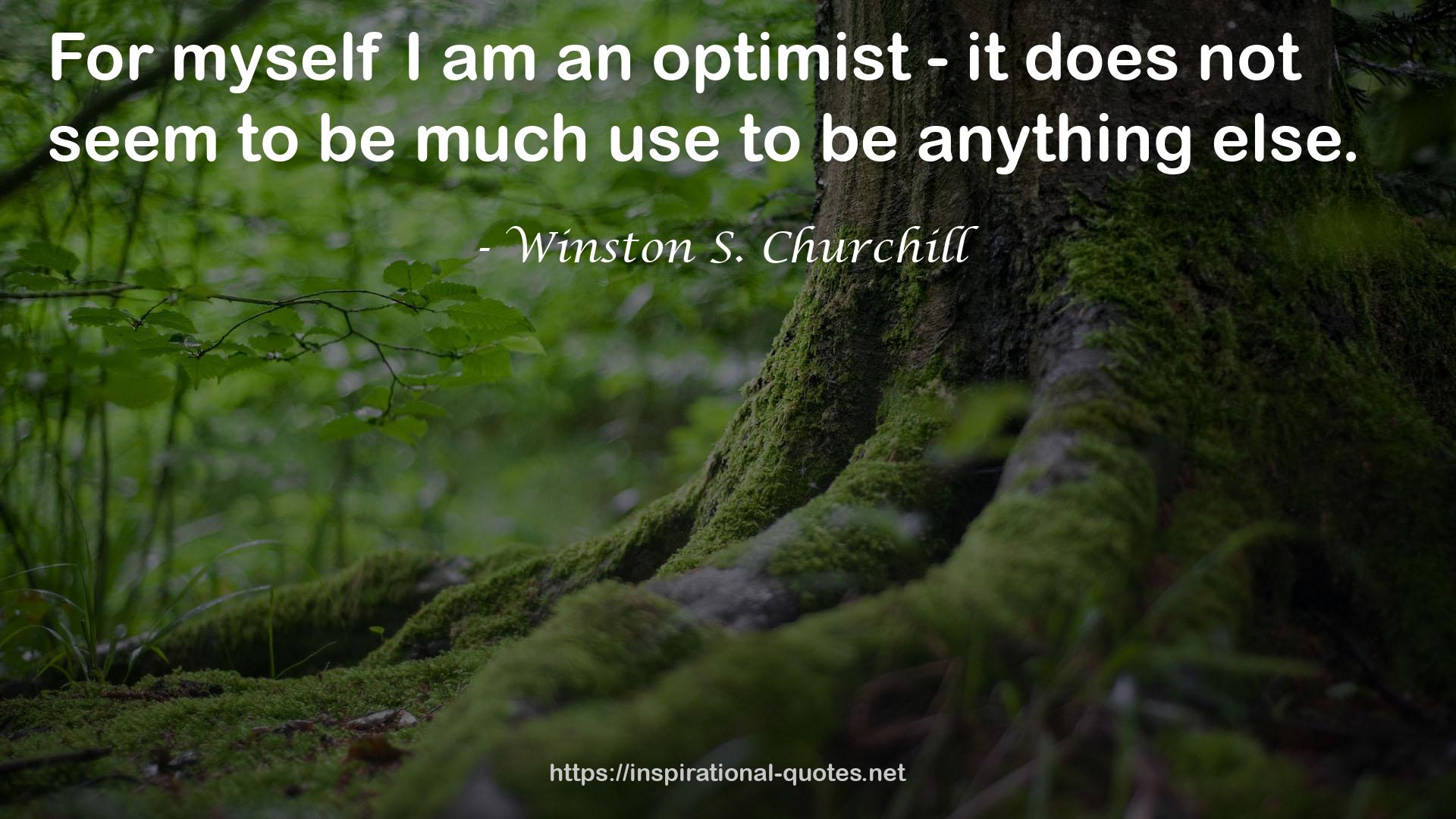 an optimist  QUOTES