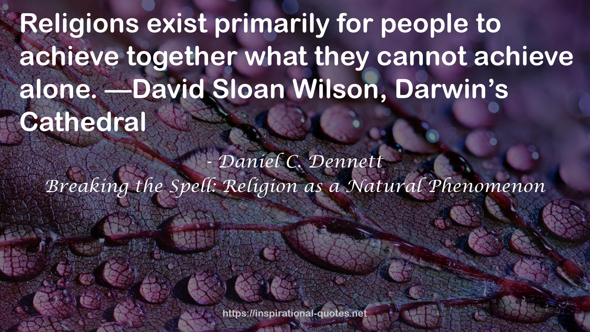 Daniel C. Dennett QUOTES