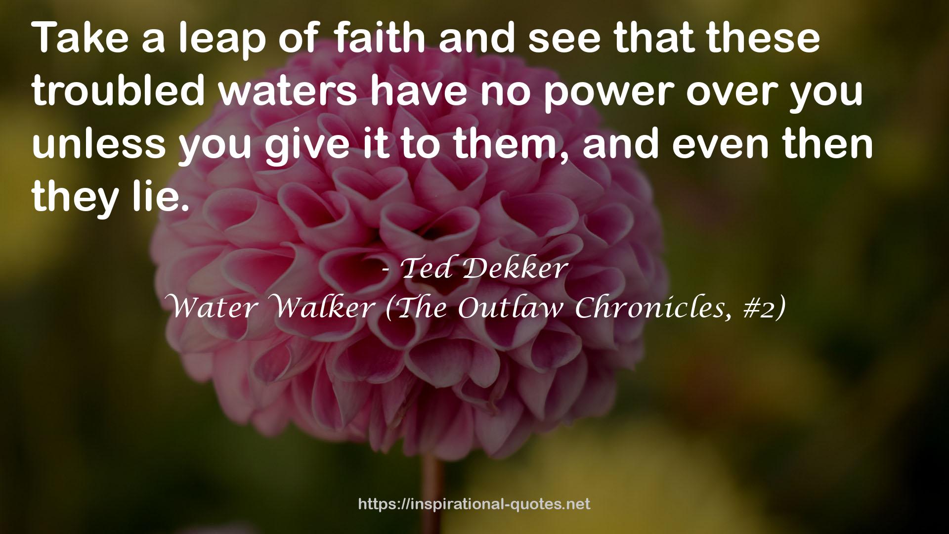 Water Walker (The Outlaw Chronicles, #2) QUOTES