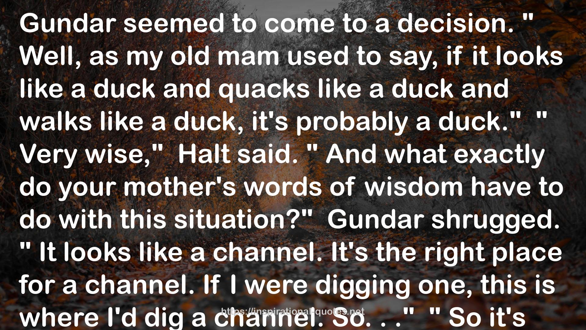 a duck  QUOTES