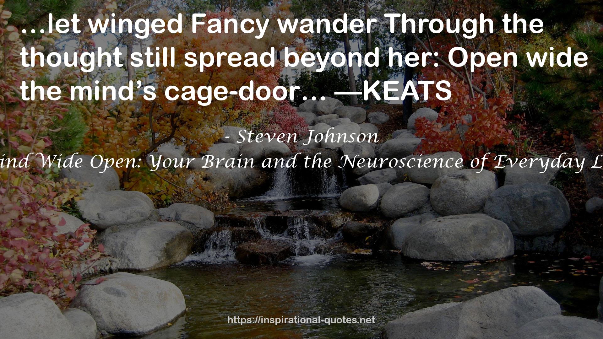 Mind Wide Open: Your Brain and the Neuroscience of Everyday Life QUOTES