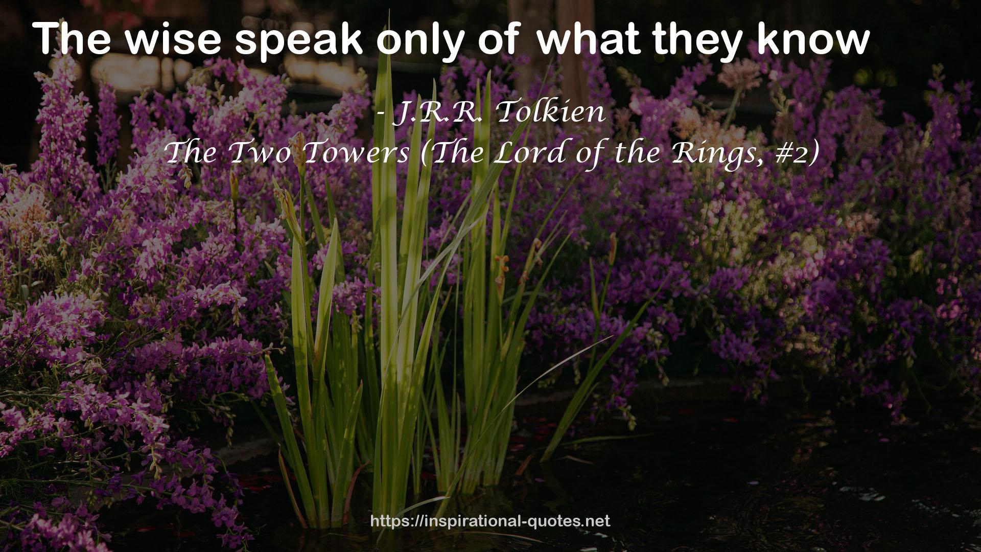 The Two Towers (The Lord of the Rings, #2) QUOTES