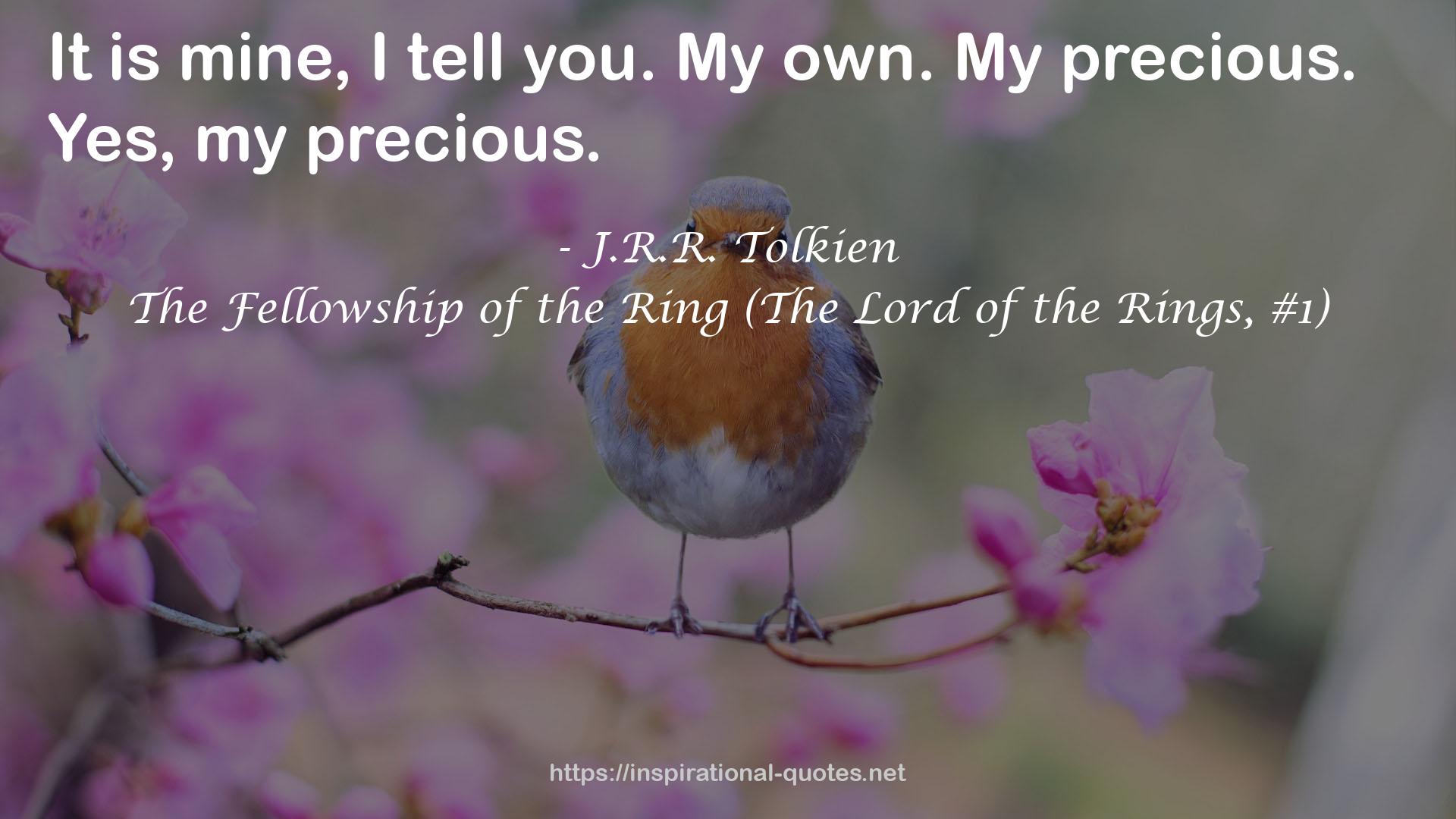 The Fellowship of the Ring (The Lord of the Rings, #1) QUOTES