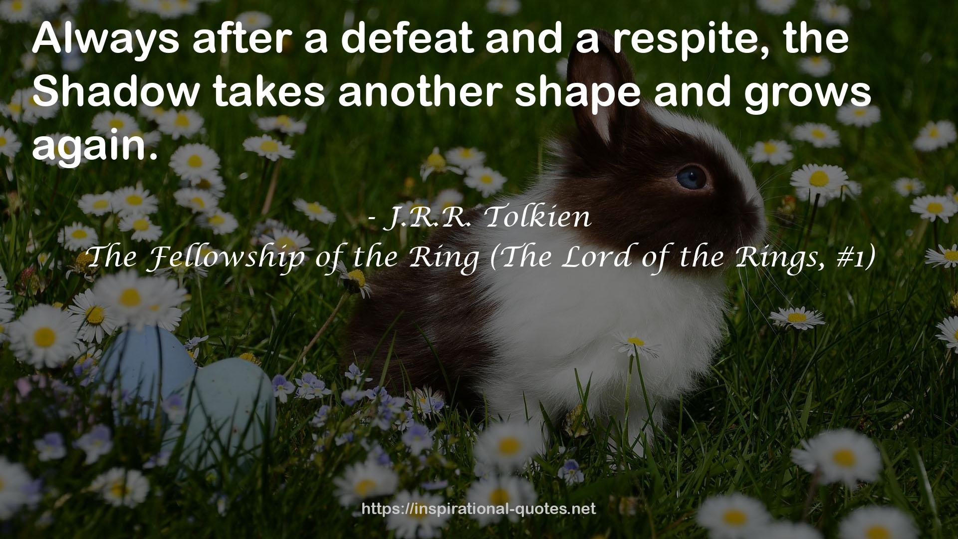 The Fellowship of the Ring (The Lord of the Rings, #1) QUOTES