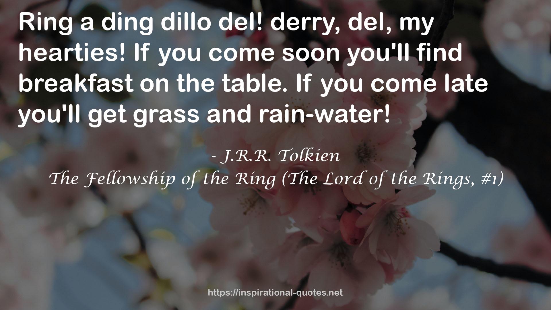 The Fellowship of the Ring (The Lord of the Rings, #1) QUOTES