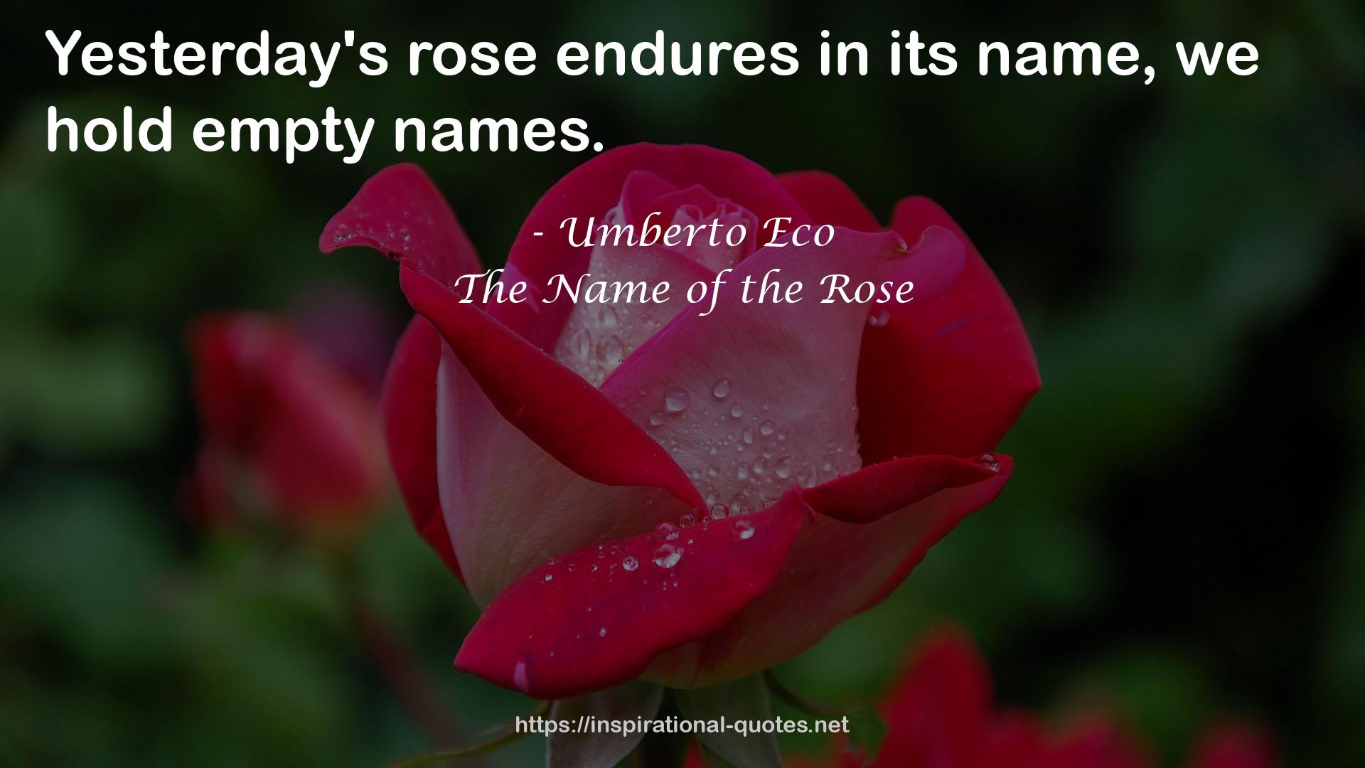 The Name of the Rose QUOTES