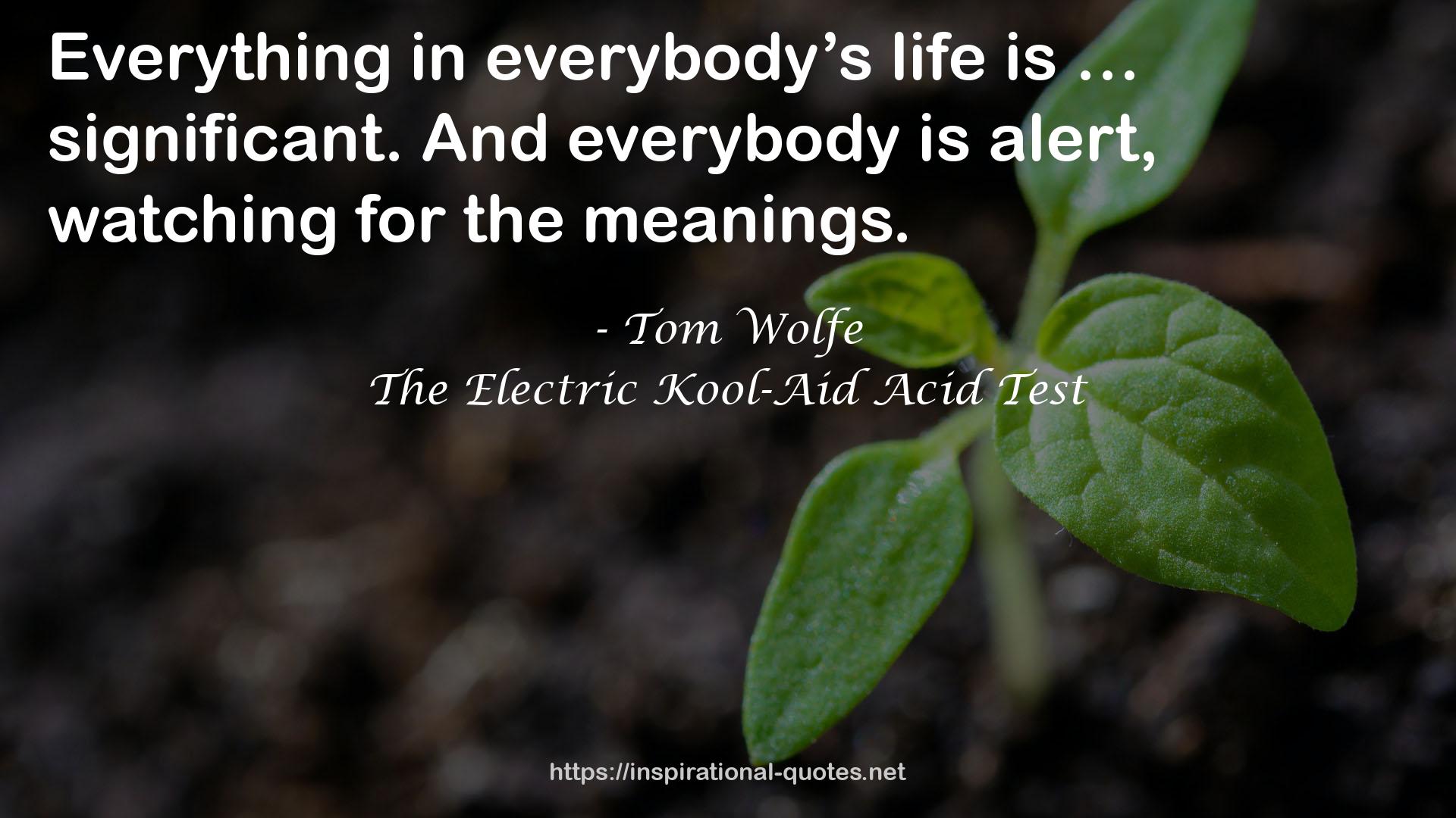 The Electric Kool-Aid Acid Test QUOTES