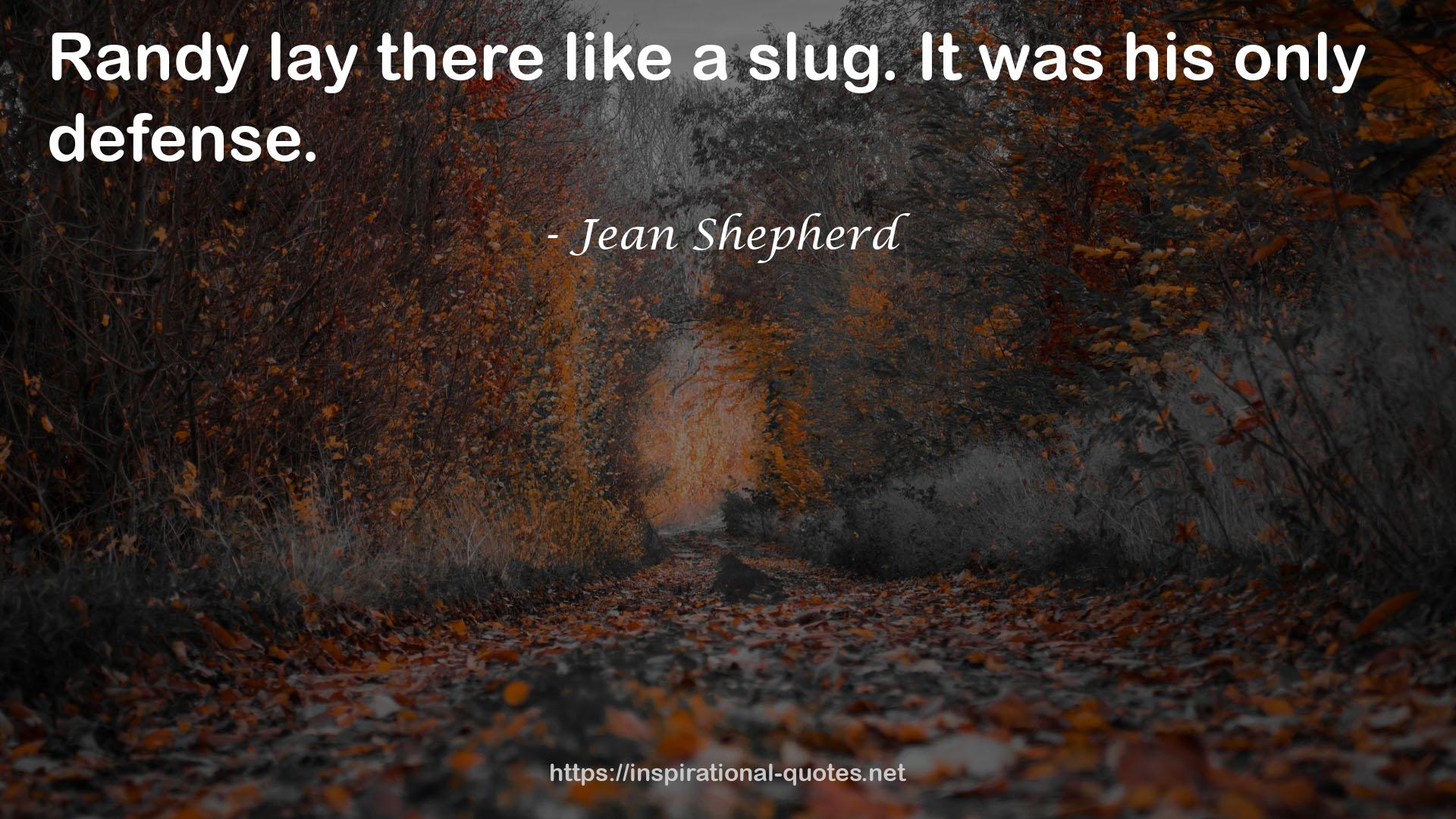 Jean Shepherd QUOTES