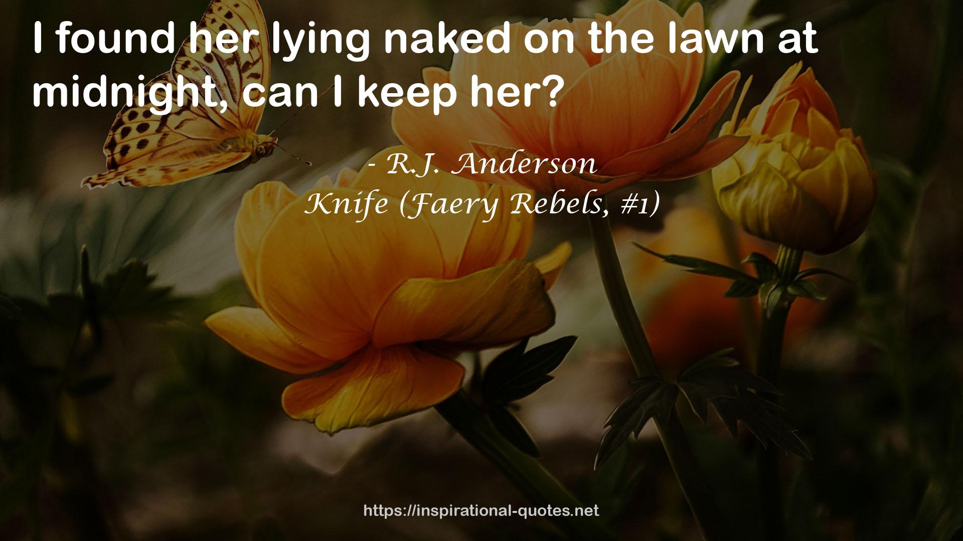 Knife (Faery Rebels, #1) QUOTES